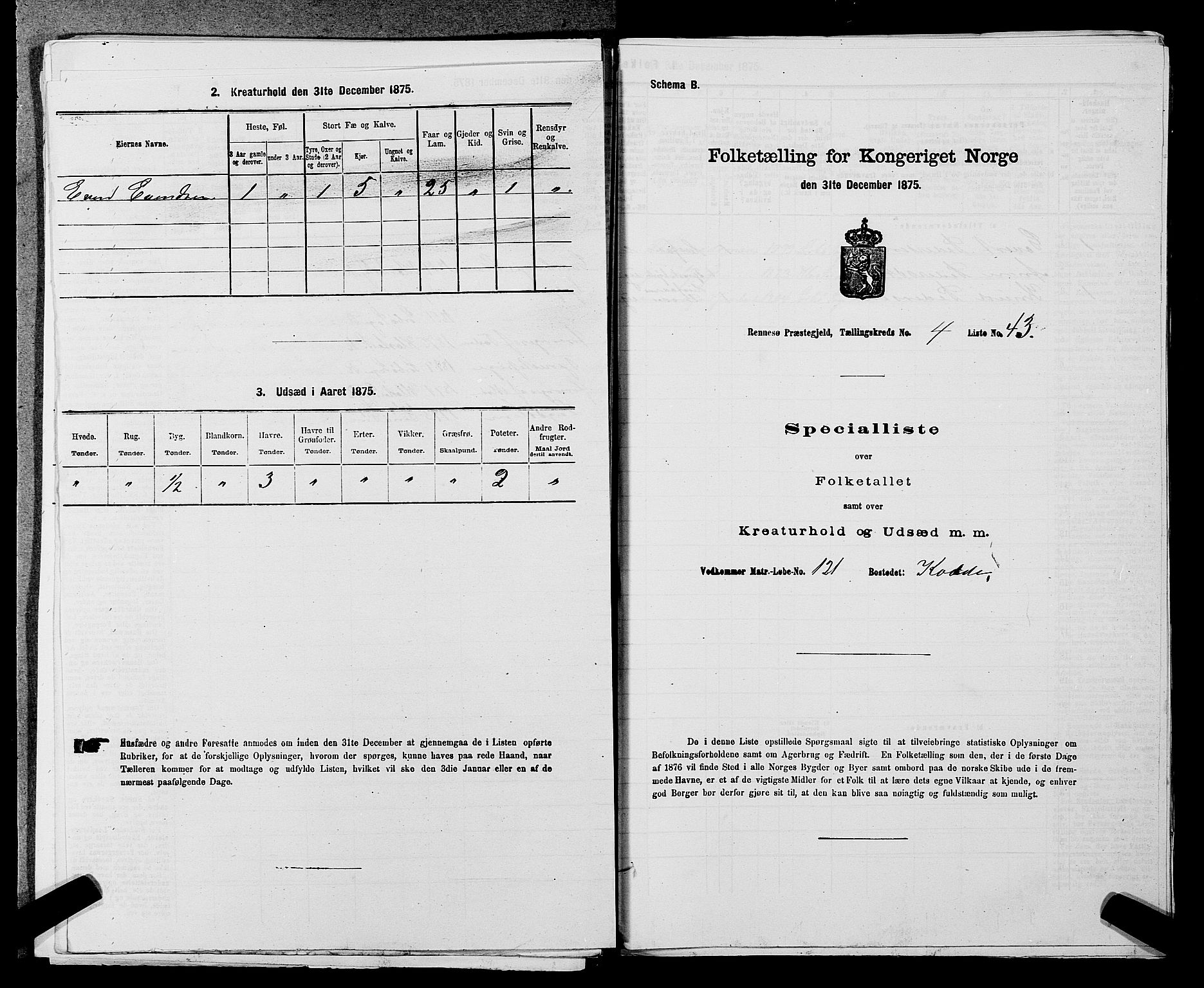 SAST, Folketelling 1875 for 1142P Rennesøy prestegjeld, 1875, s. 515