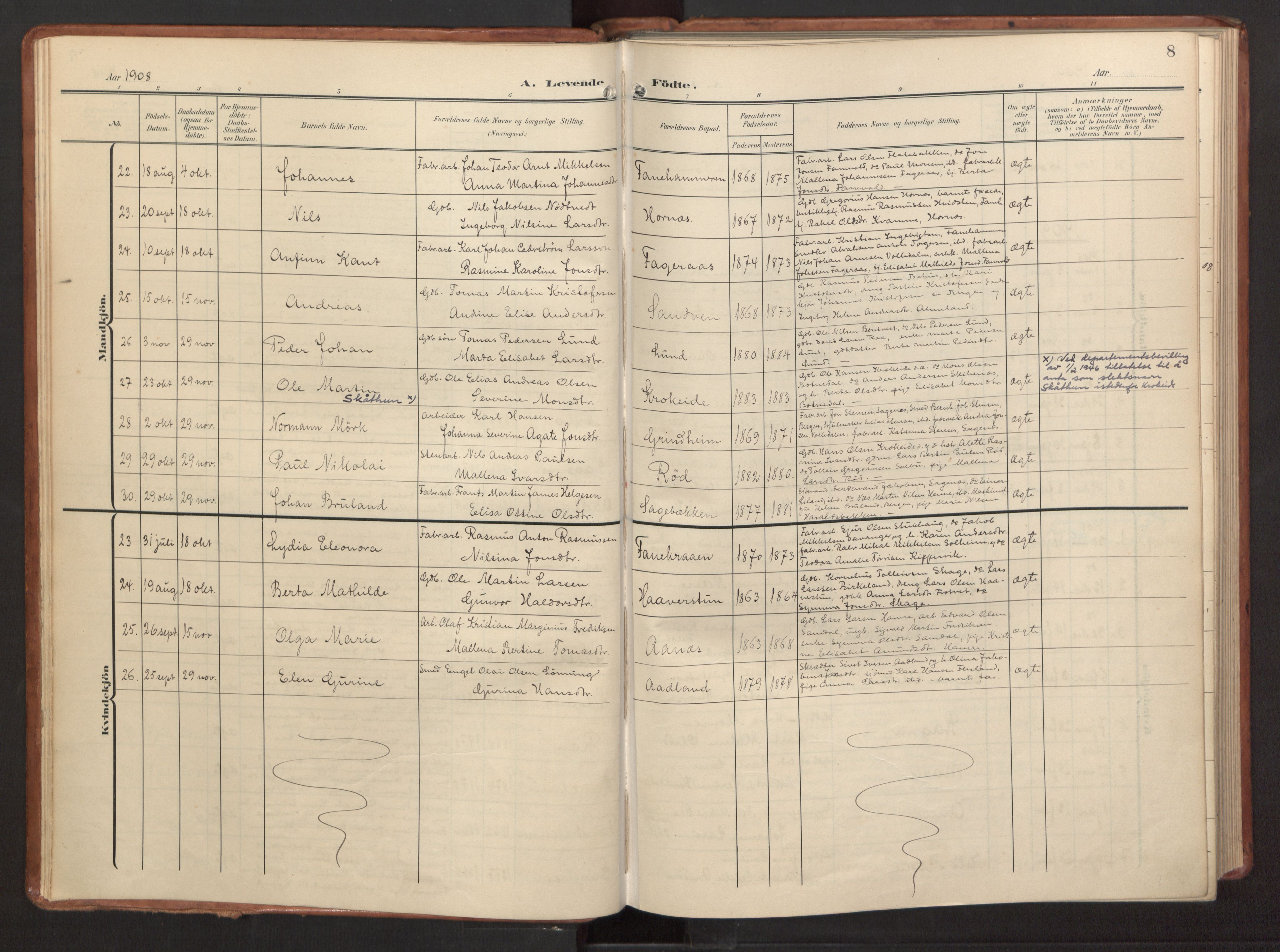 Fana Sokneprestembete, AV/SAB-A-75101/H/Haa/Haab/L0004: Ministerialbok nr. B 4, 1908-1915, s. 8