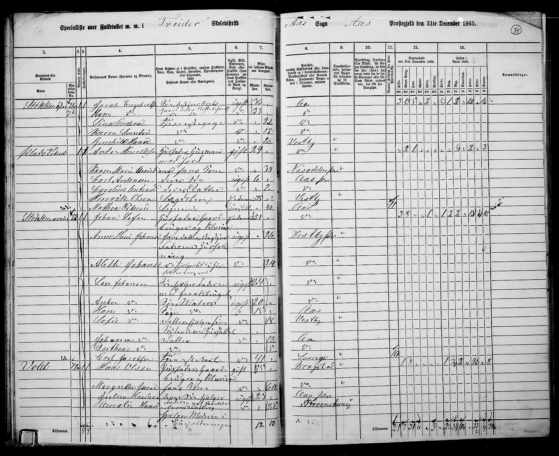 RA, Folketelling 1865 for 0214P Ås prestegjeld, 1865, s. 31