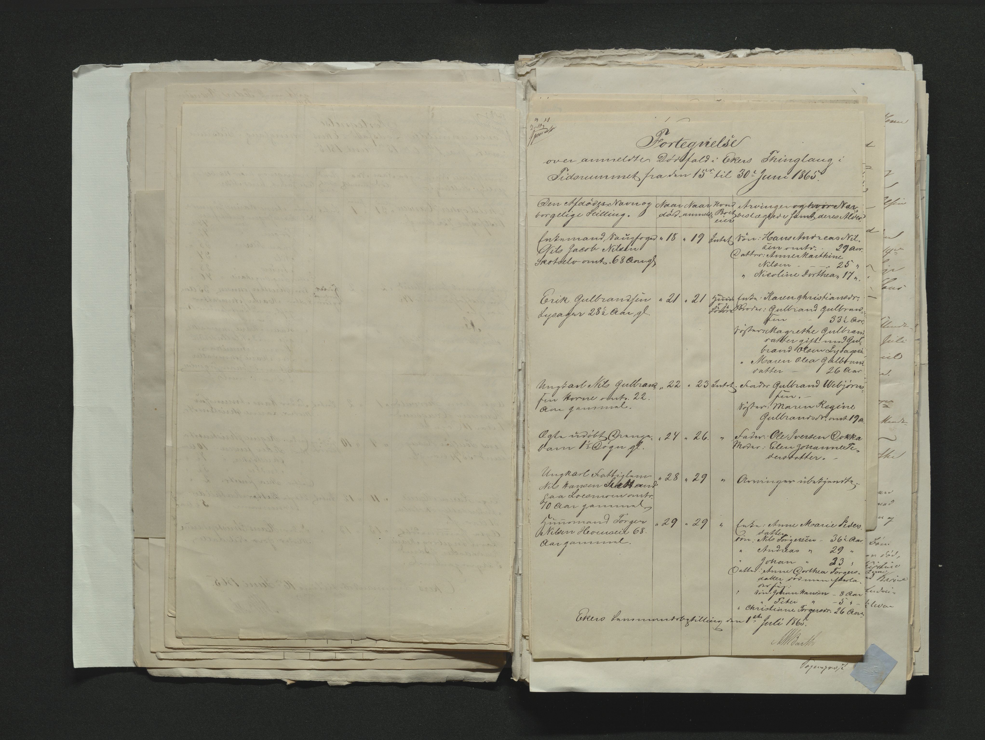 Eiker, Modum og Sigdal sorenskriveri, AV/SAKO-A-123/H/Ha/Hab/L0011: Dødsfallsmeldinger, 1862-1865, s. 541