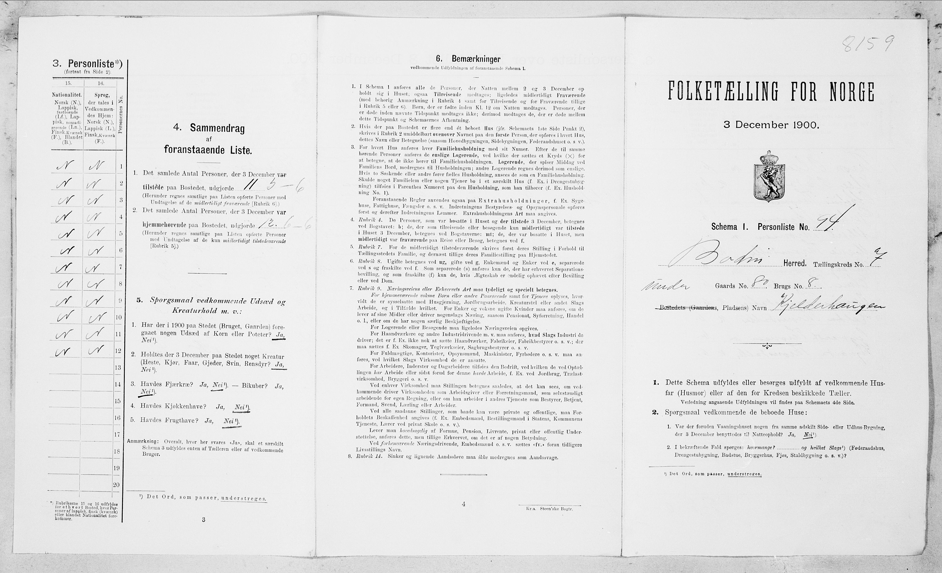 SAT, Folketelling 1900 for 1843 Bodin herred, 1900, s. 1202