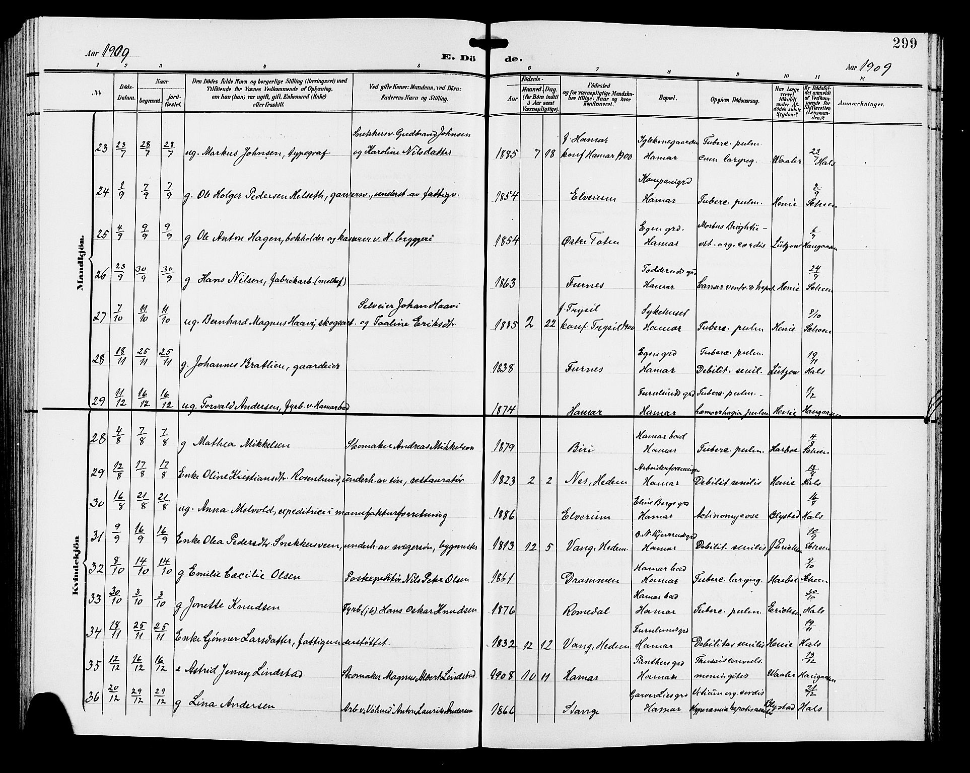 Hamar prestekontor, AV/SAH-DOMPH-002/H/Ha/Hab/L0001: Klokkerbok nr. 1, 1899-1914, s. 299