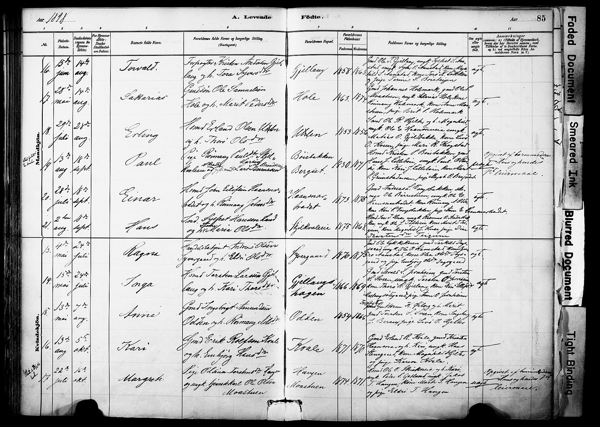 Skjåk prestekontor, AV/SAH-PREST-072/H/Ha/Haa/L0003: Ministerialbok nr. 3, 1880-1907, s. 85
