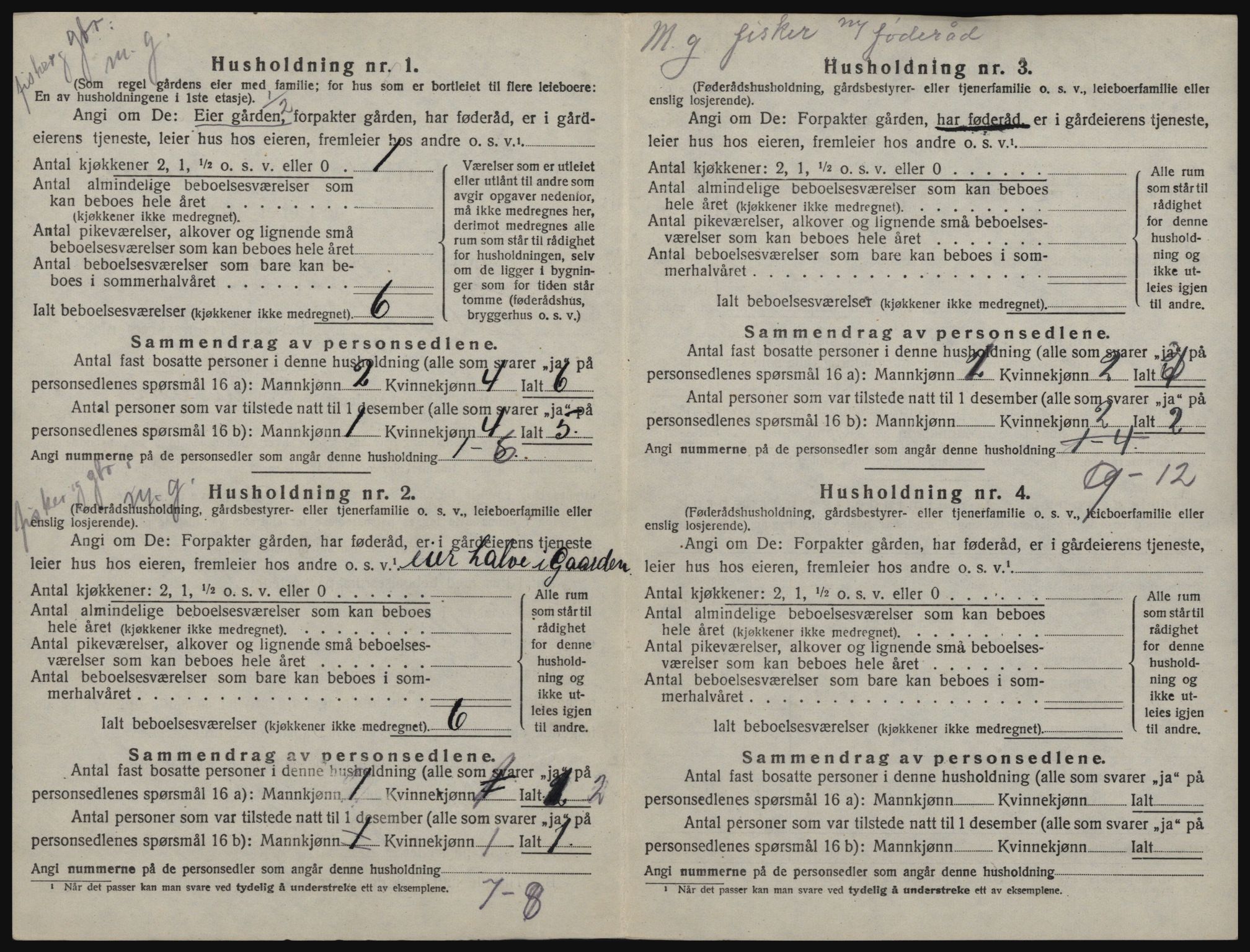 SAT, Folketelling 1920 for 1616 Fillan herred, 1920, s. 41