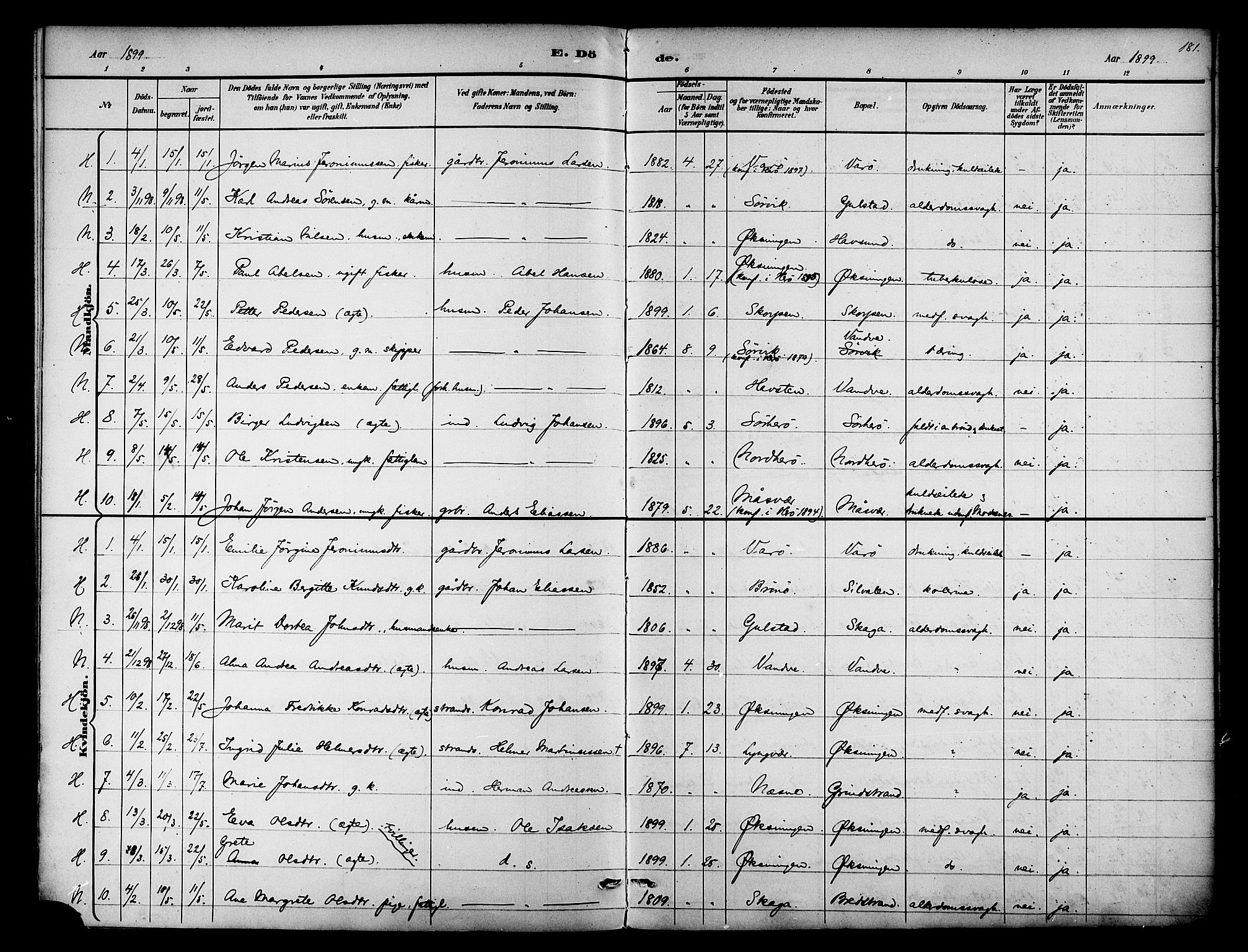 Ministerialprotokoller, klokkerbøker og fødselsregistre - Nordland, AV/SAT-A-1459/834/L0508: Ministerialbok nr. 834A06, 1892-1901, s. 181