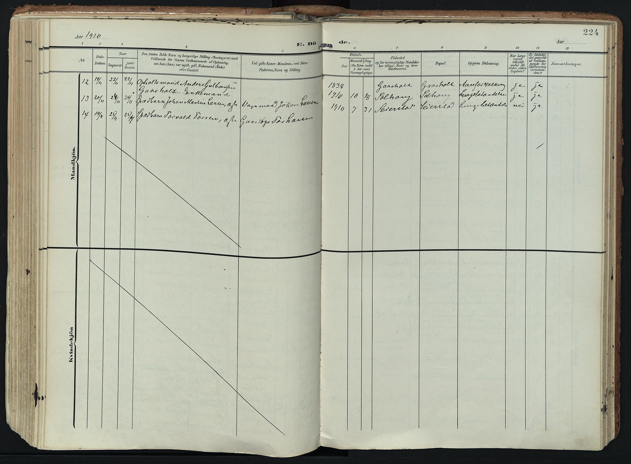 Hedrum kirkebøker, AV/SAKO-A-344/F/Fa/L0010: Ministerialbok nr. I 10, 1904-1918, s. 224