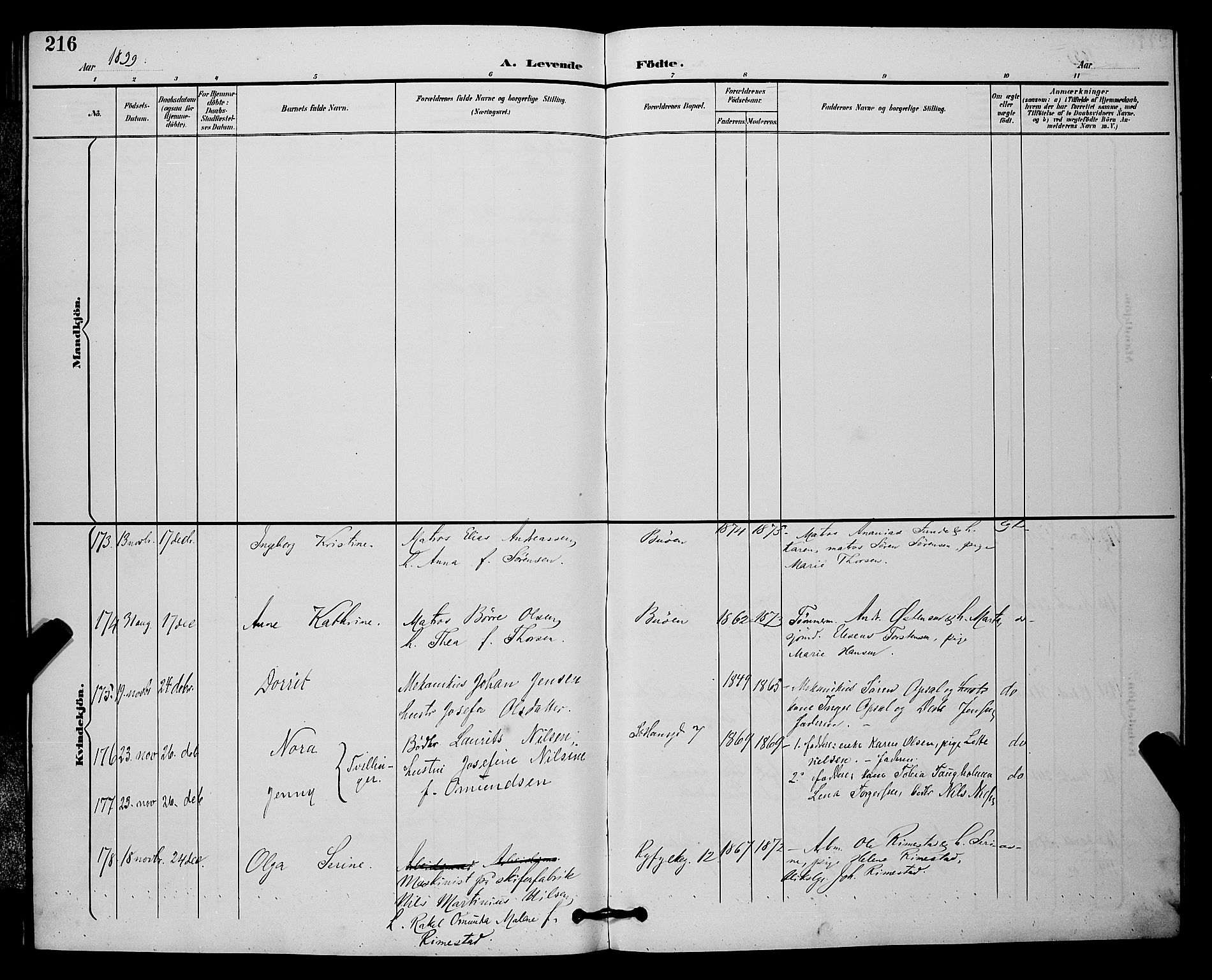 St. Johannes sokneprestkontor, AV/SAST-A-101814/001/30/30BB/L0003: Klokkerbok nr. B 3, 1893-1900, s. 216