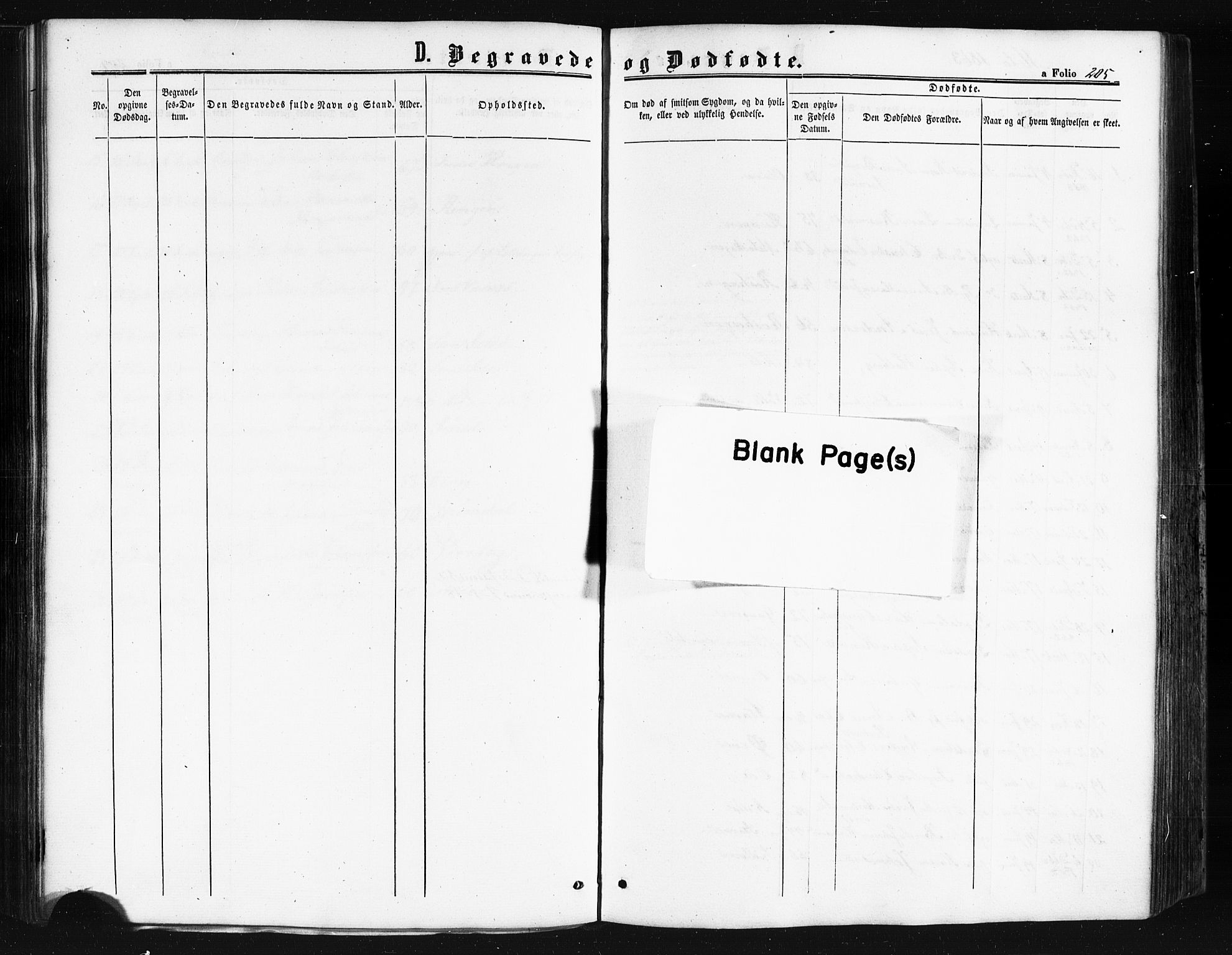 Ministerialprotokoller, klokkerbøker og fødselsregistre - Nordland, AV/SAT-A-1459/841/L0607: Ministerialbok nr. 841A11 /1, 1863-1877, s. 205