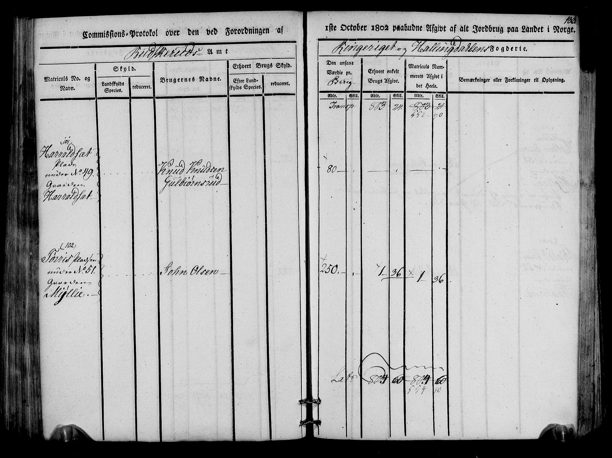 Rentekammeret inntil 1814, Realistisk ordnet avdeling, RA/EA-4070/N/Ne/Nea/L0047: Ringerike og Hallingdal fogderi. Kommisjonsprotokoll for Nes prestegjeld, 1803, s. 136