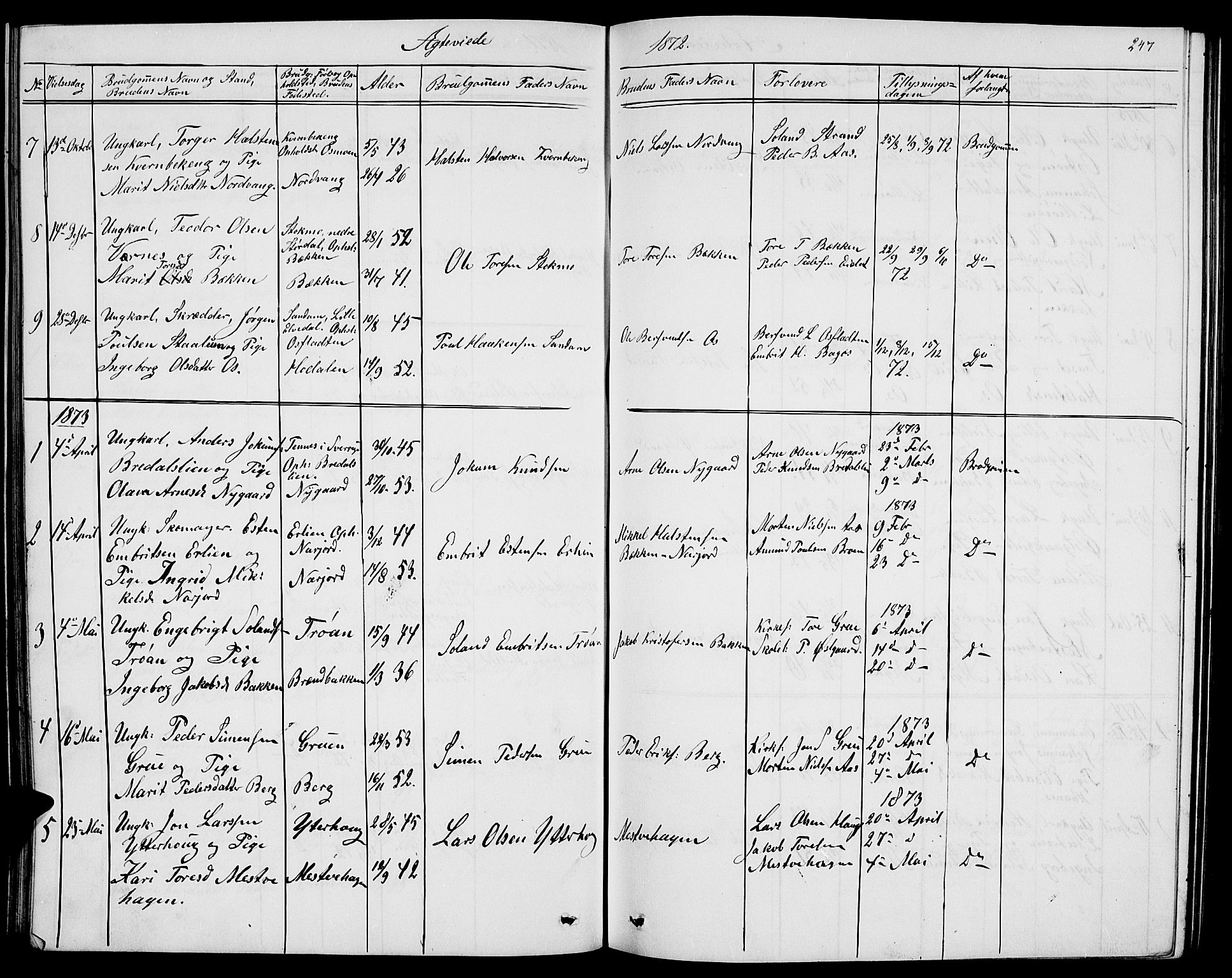 Tolga prestekontor, AV/SAH-PREST-062/L/L0004: Klokkerbok nr. 4, 1845-1887, s. 247