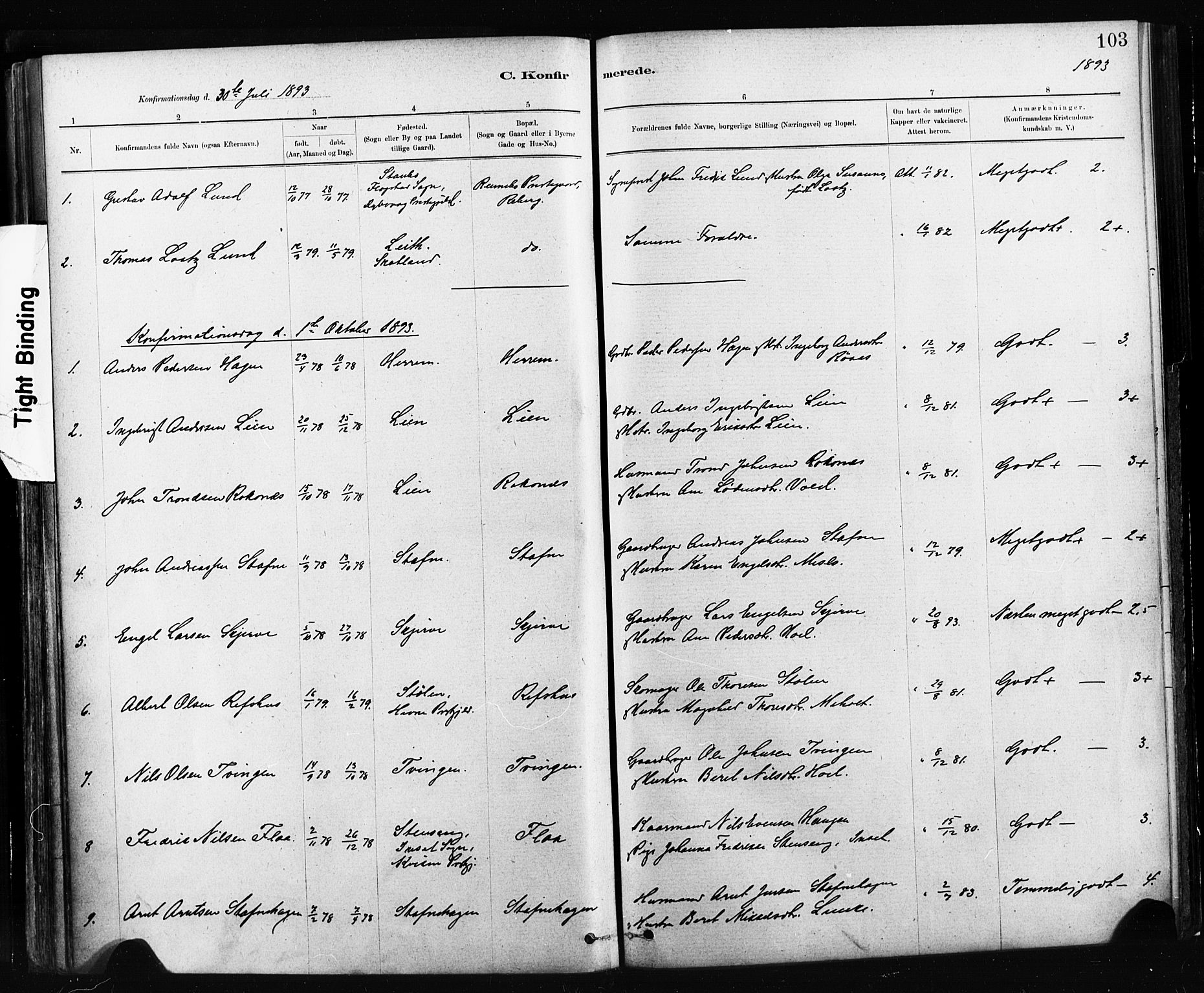 Ministerialprotokoller, klokkerbøker og fødselsregistre - Sør-Trøndelag, AV/SAT-A-1456/674/L0871: Ministerialbok nr. 674A03, 1880-1896, s. 103