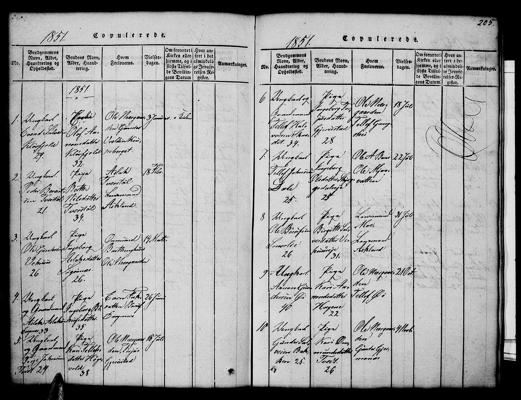 Åmli sokneprestkontor, SAK/1111-0050/F/Fb/Fbc/L0001: Klokkerbok nr. B 1, 1816-1867, s. 205