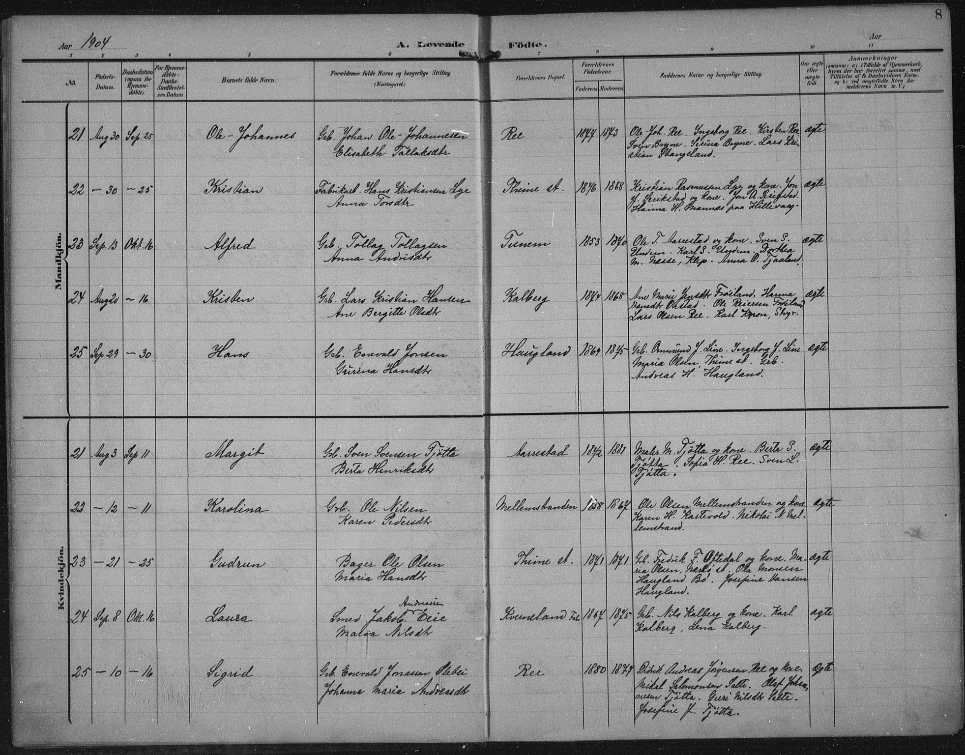 Lye sokneprestkontor, AV/SAST-A-101794/002/A/L0001: Ministerialbok nr. A 12, 1904-1920, s. 8