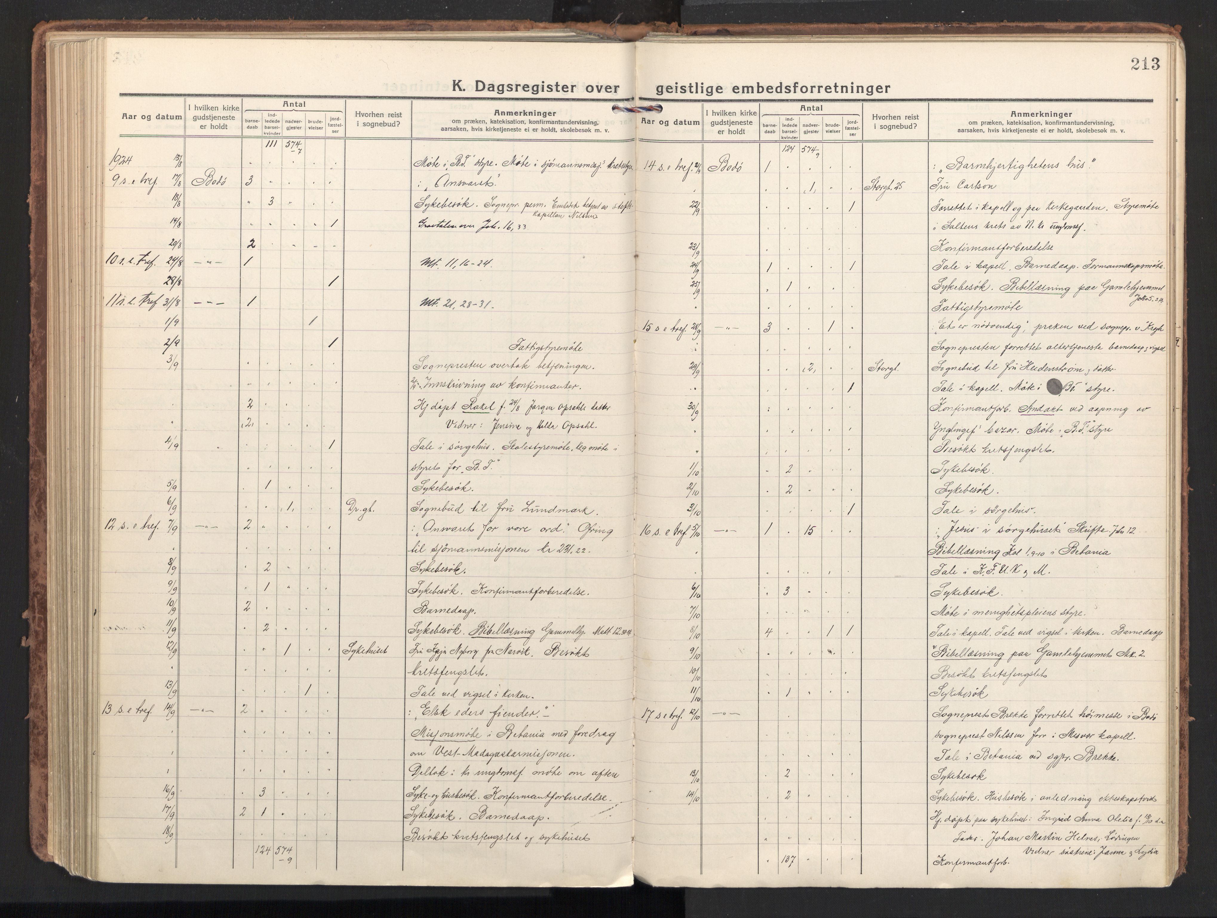 Ministerialprotokoller, klokkerbøker og fødselsregistre - Nordland, AV/SAT-A-1459/801/L0018: Ministerialbok nr. 801A18, 1916-1930, s. 213