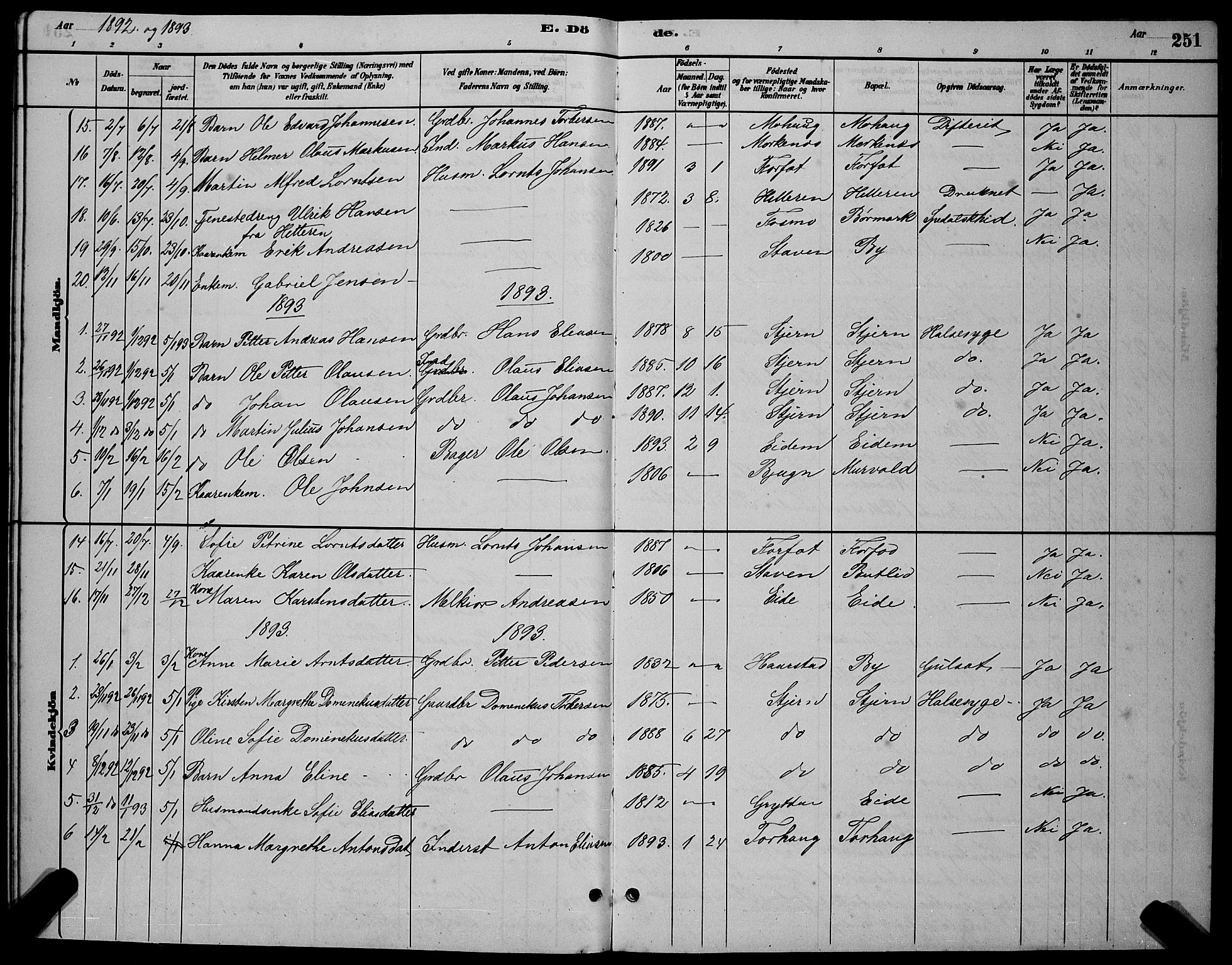 Ministerialprotokoller, klokkerbøker og fødselsregistre - Sør-Trøndelag, SAT/A-1456/655/L0687: Klokkerbok nr. 655C03, 1880-1898, s. 251