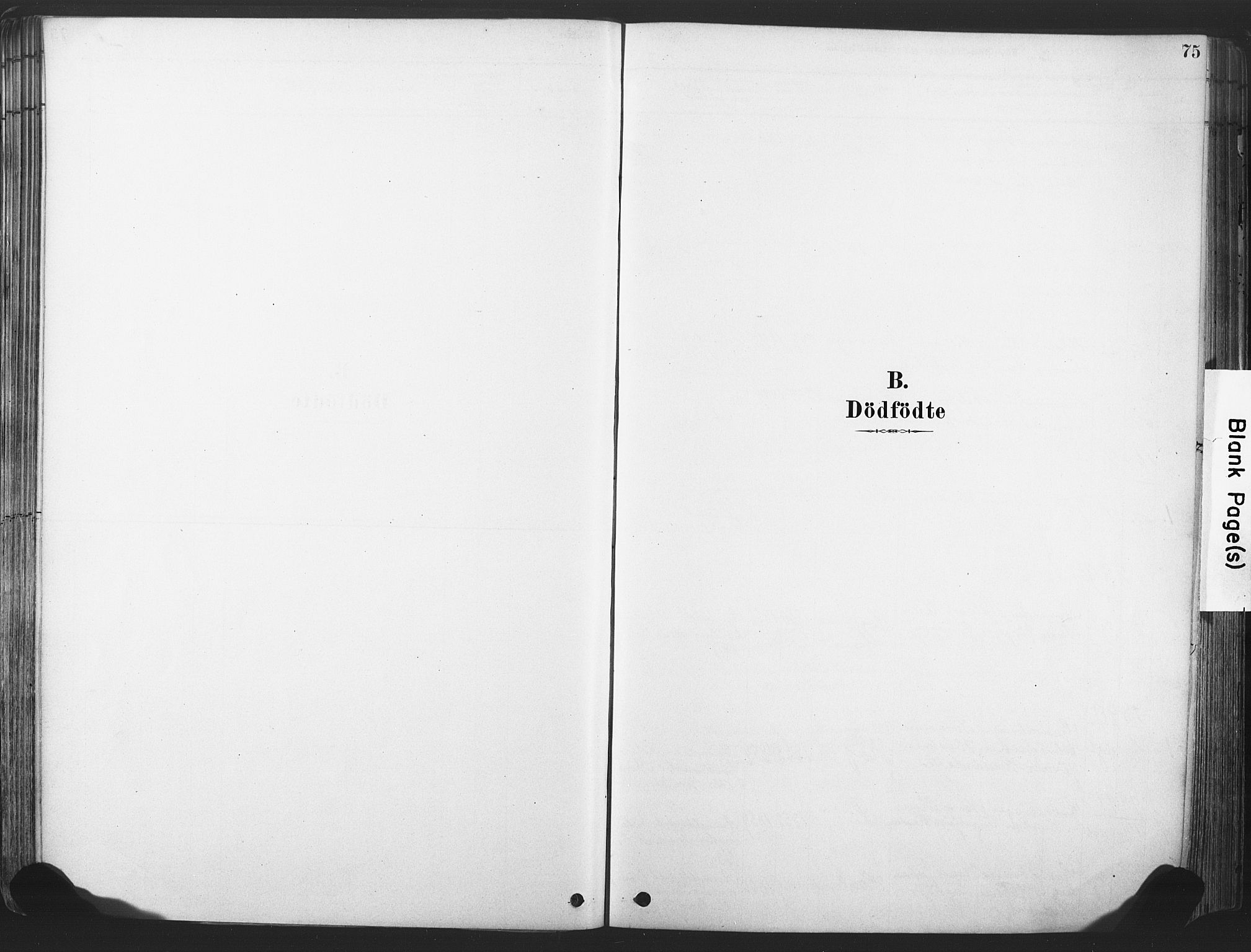 Rollag kirkebøker, SAKO/A-240/F/Fa/L0011: Ministerialbok nr. I 11, 1878-1902, s. 75