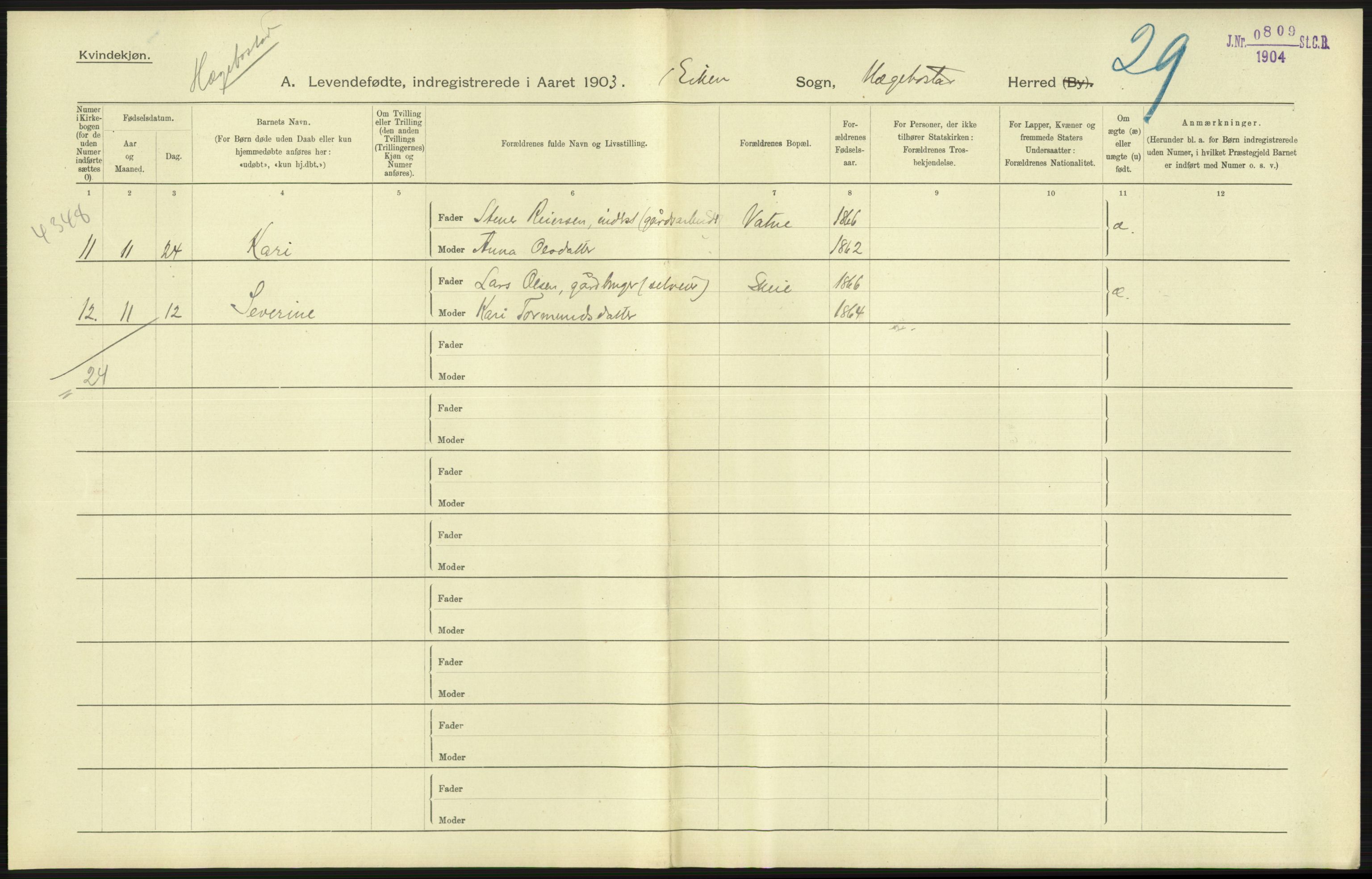 Statistisk sentralbyrå, Sosiodemografiske emner, Befolkning, AV/RA-S-2228/D/Df/Dfa/Dfaa/L0011: Lister og Mandal amt: Fødte, gifte, døde, 1903, s. 51