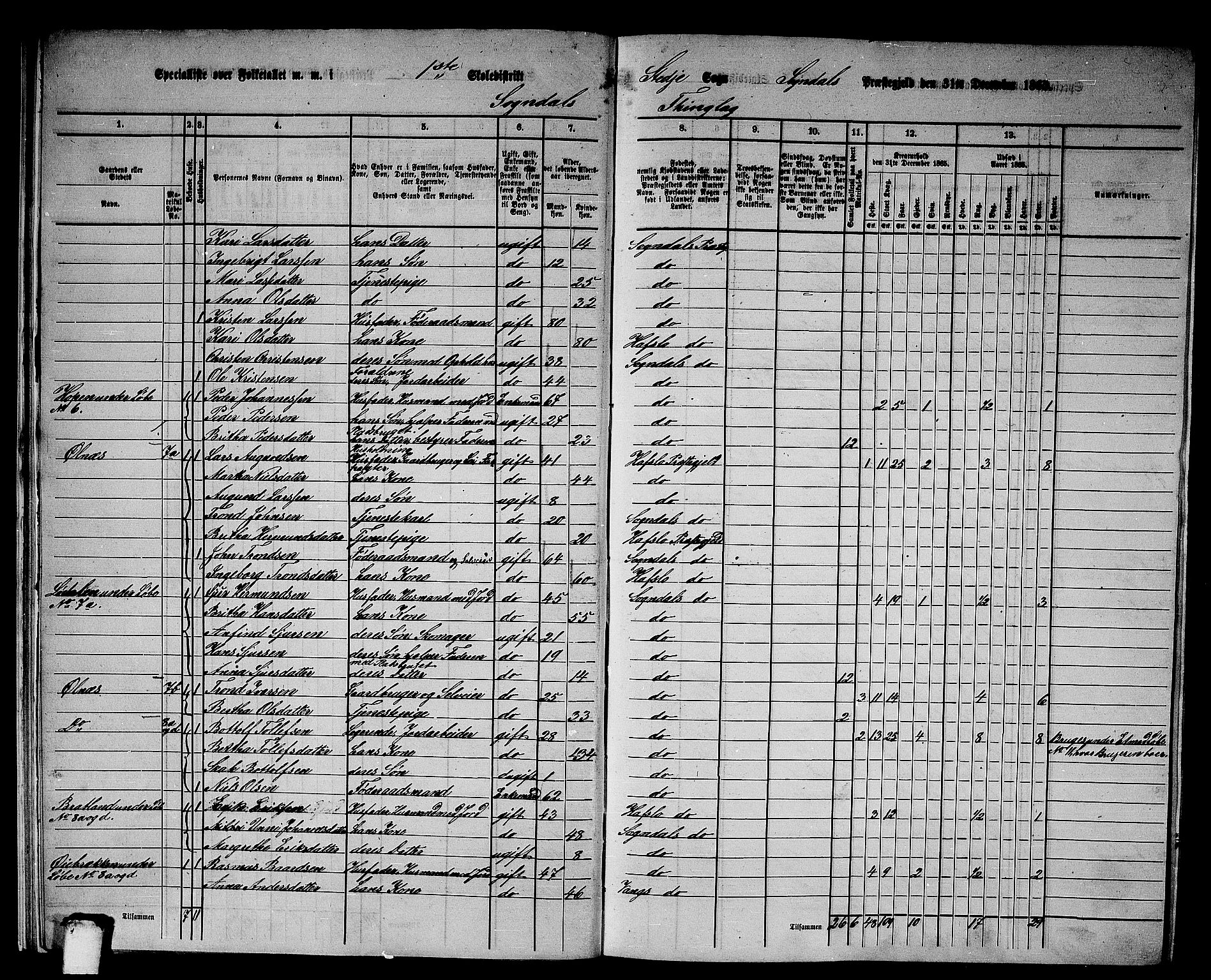 RA, Folketelling 1865 for 1420P Sogndal prestegjeld, 1865, s. 17