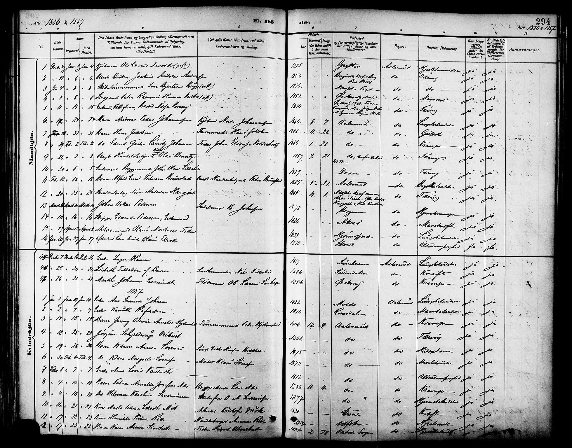 Ministerialprotokoller, klokkerbøker og fødselsregistre - Møre og Romsdal, AV/SAT-A-1454/529/L0455: Ministerialbok nr. 529A05, 1885-1893, s. 294