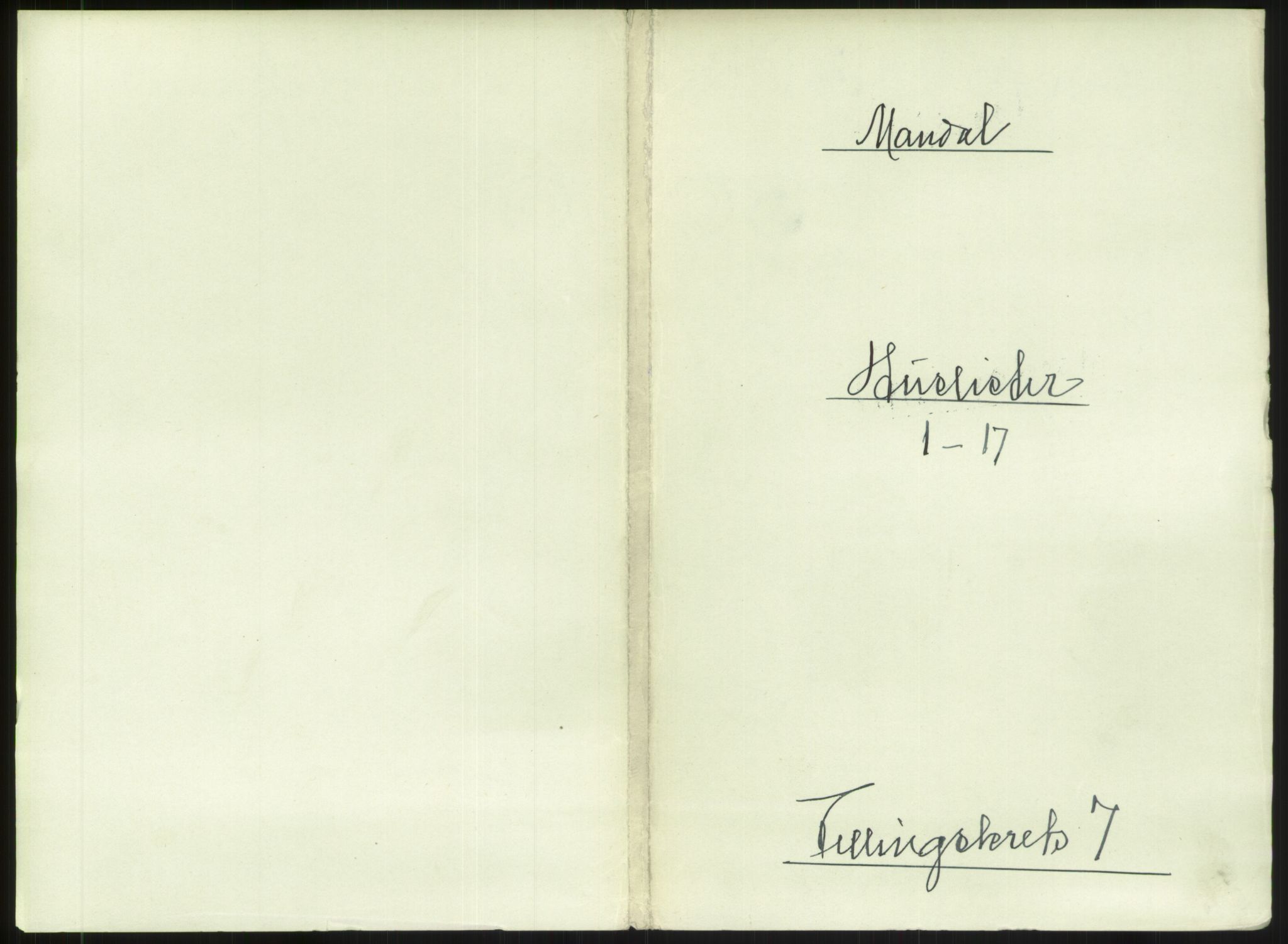 RA, Folketelling 1891 for 1002 Mandal ladested, 1891, s. 357