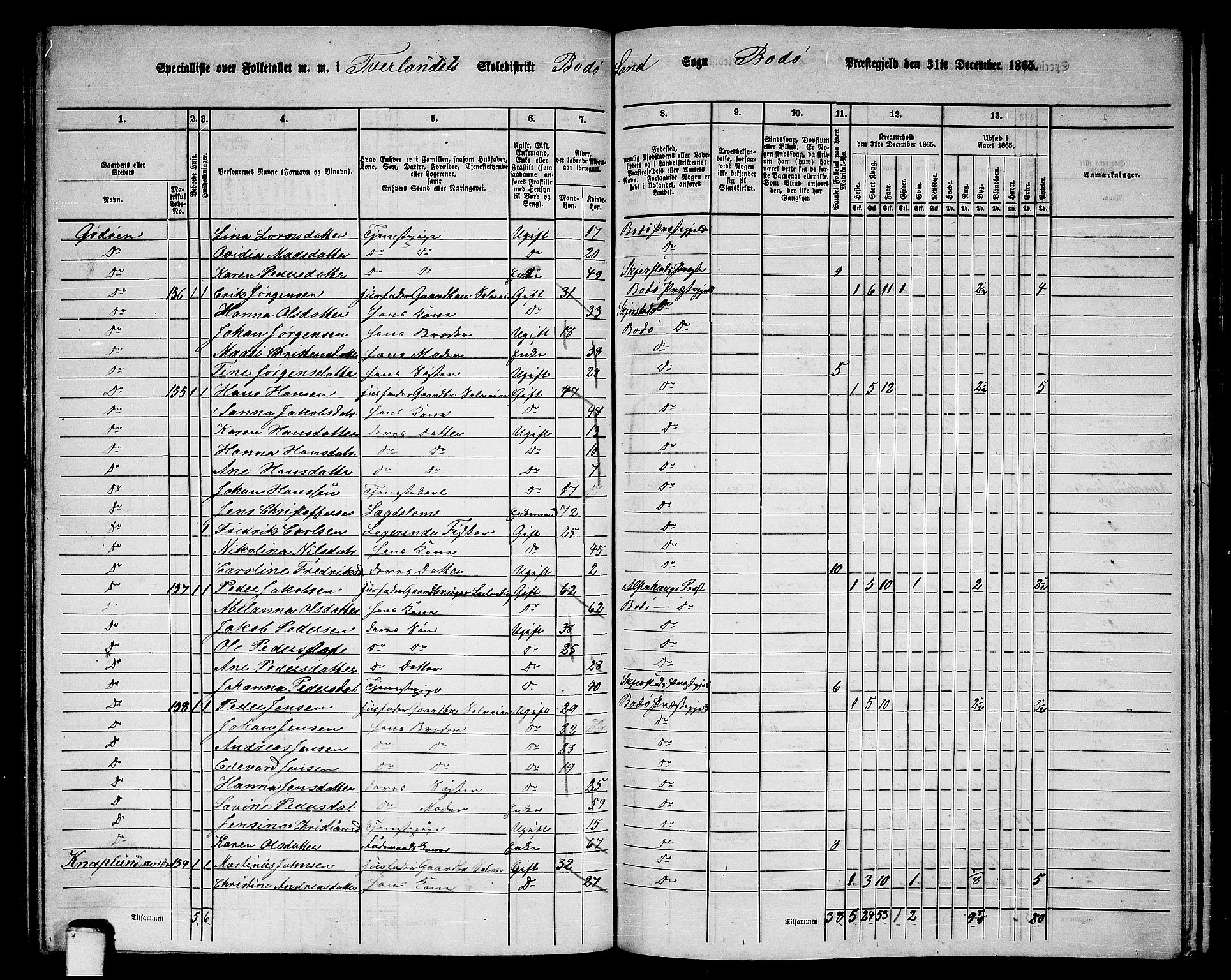 RA, Folketelling 1865 for 1843L Bodø prestegjeld, Bodø landsokn, 1865, s. 89