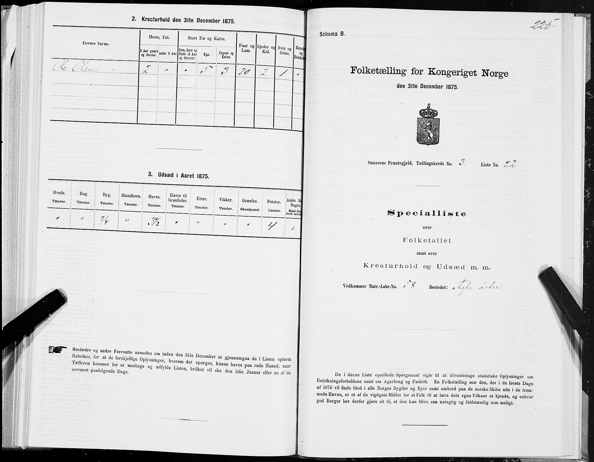 SAT, Folketelling 1875 for 1736P Snåsa prestegjeld, 1875, s. 1225