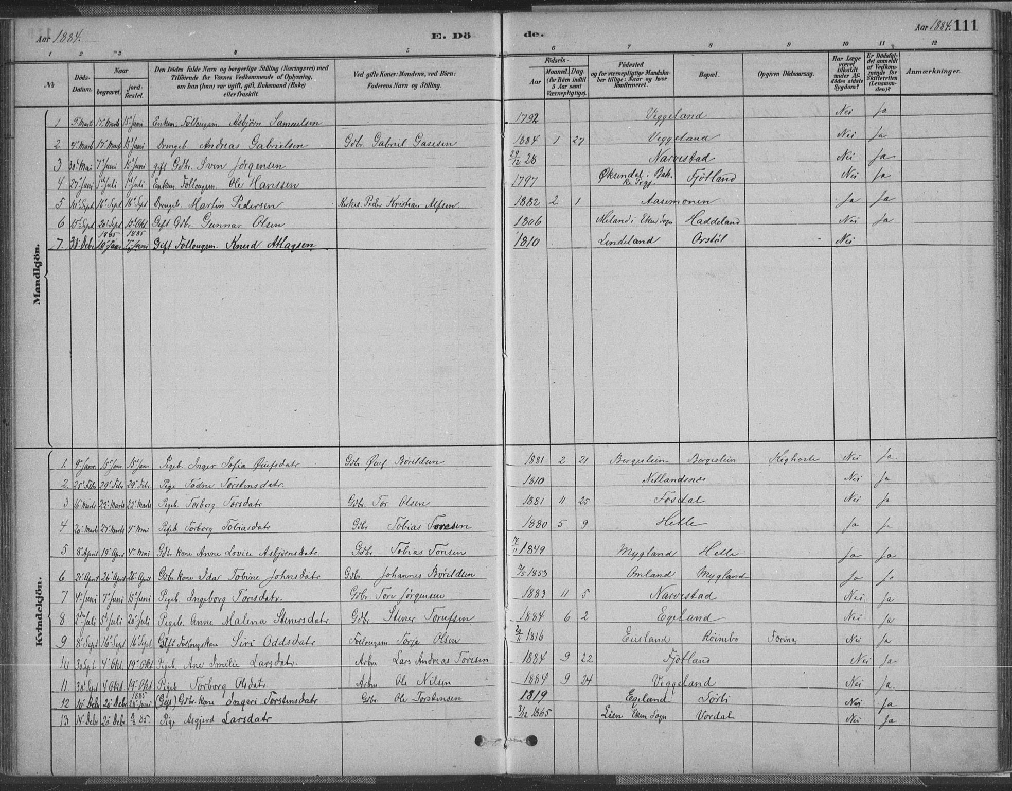 Fjotland sokneprestkontor, SAK/1111-0010/F/Fa/L0002: Ministerialbok nr. A 2, 1880-1898, s. 111