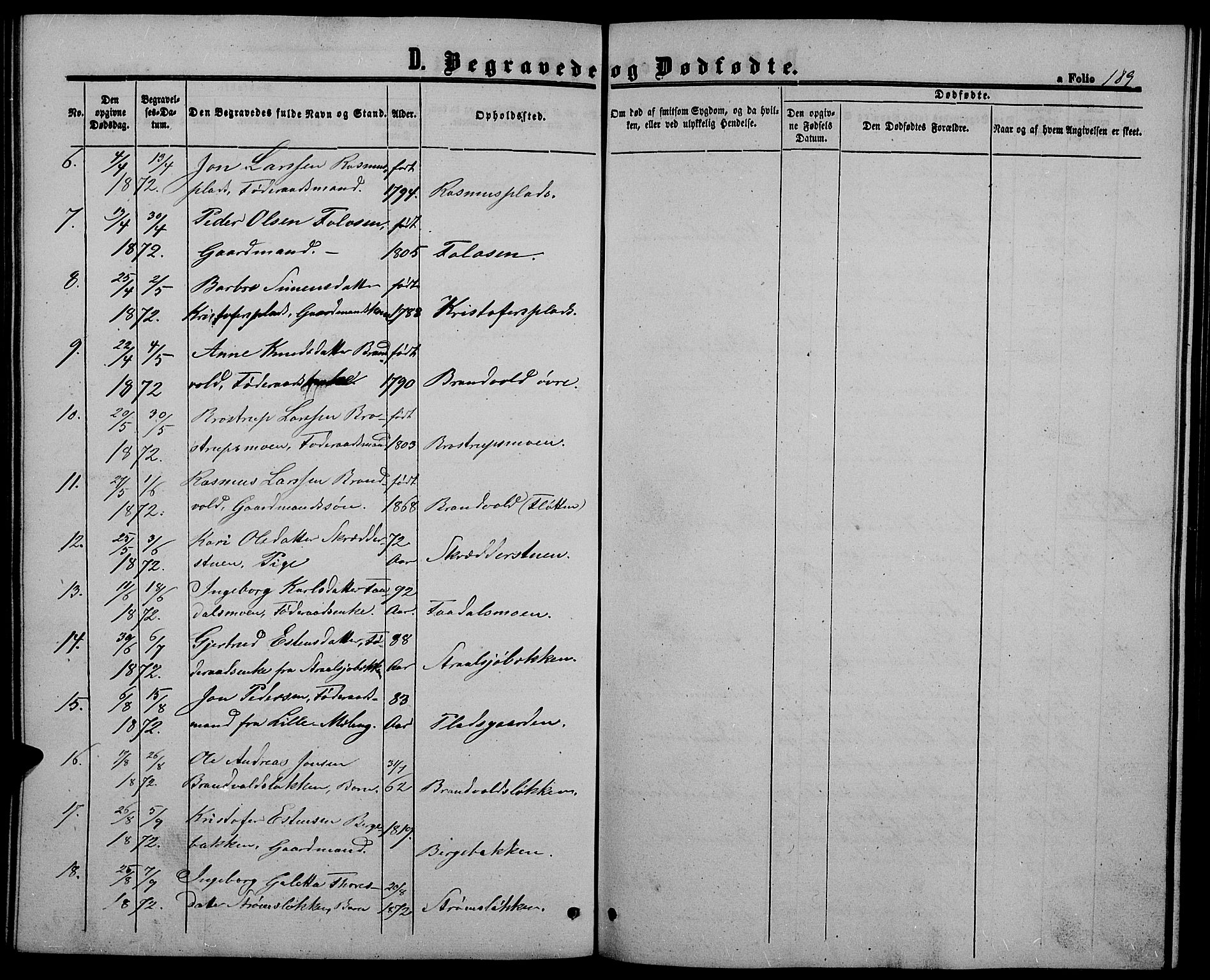 Alvdal prestekontor, SAH/PREST-060/H/Ha/Hab/L0002: Klokkerbok nr. 2, 1863-1878, s. 189