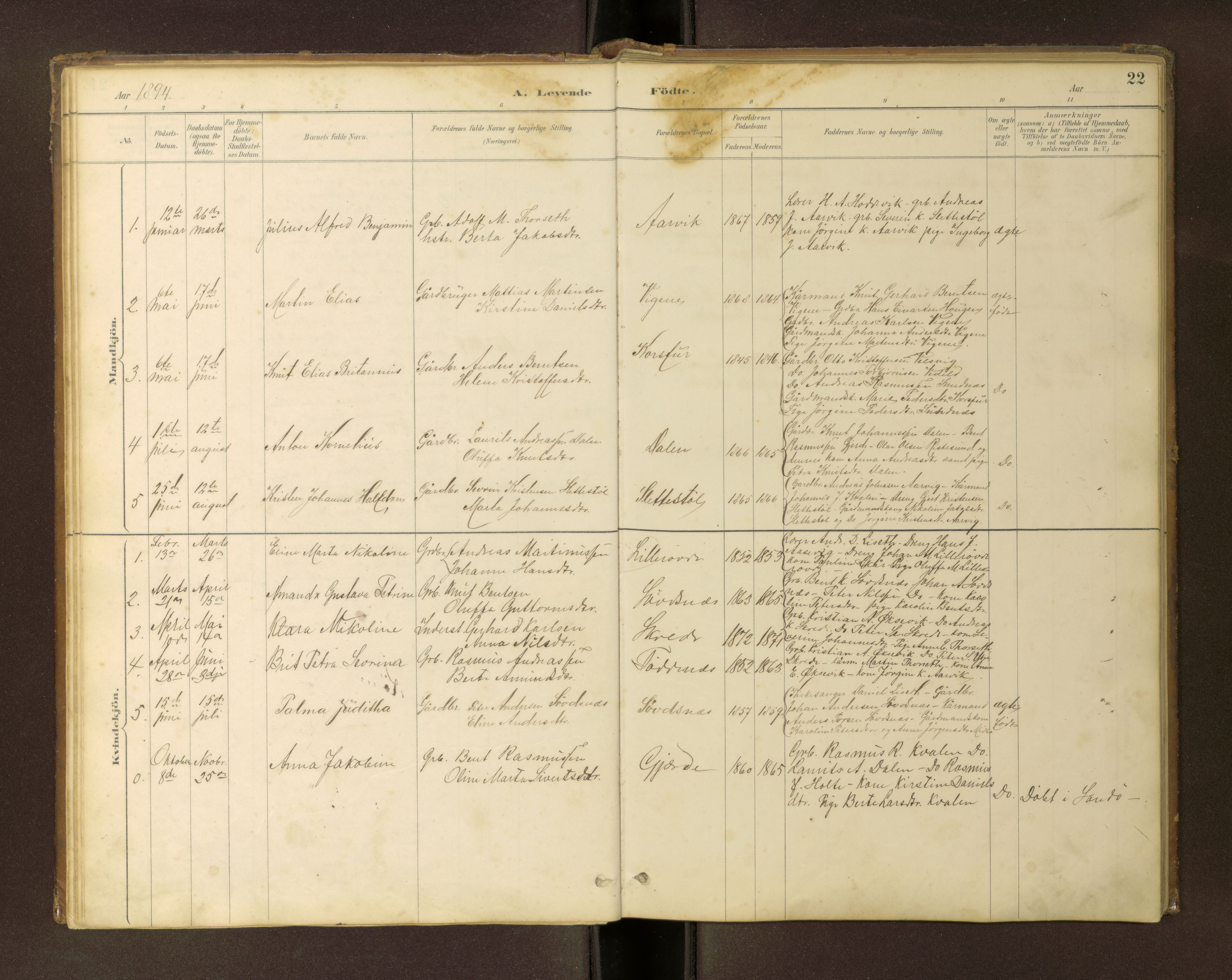 Ministerialprotokoller, klokkerbøker og fødselsregistre - Møre og Romsdal, AV/SAT-A-1454/504/L0060: Klokkerbok nr. 504C02, 1884-1903, s. 22