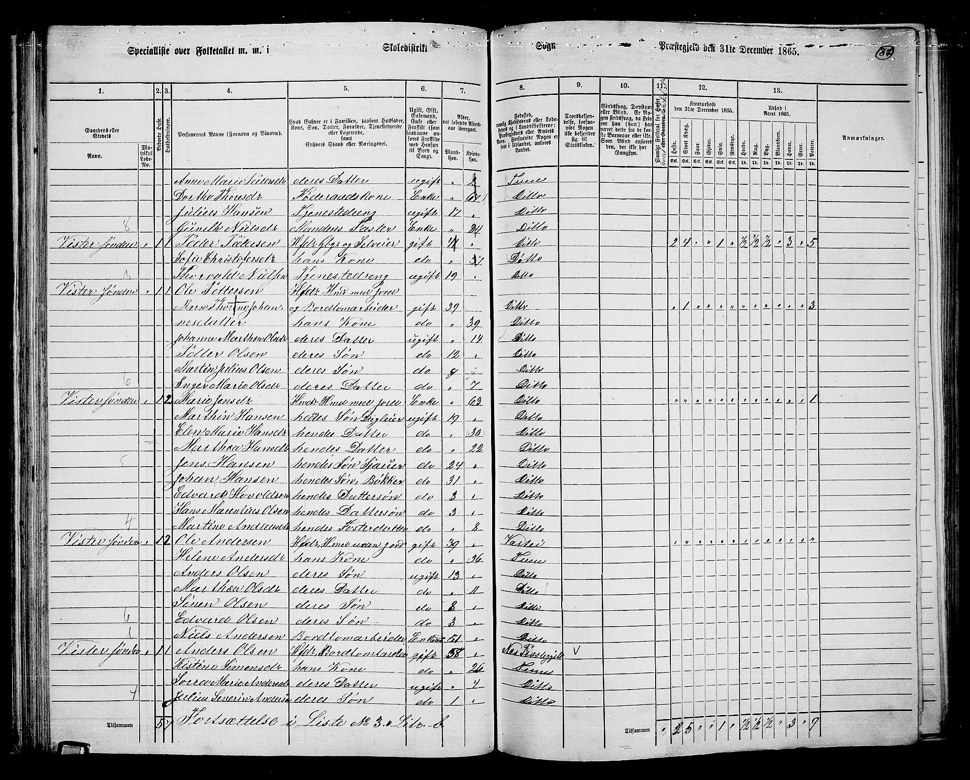 RA, Folketelling 1865 for 0130P Tune prestegjeld, 1865, s. 80