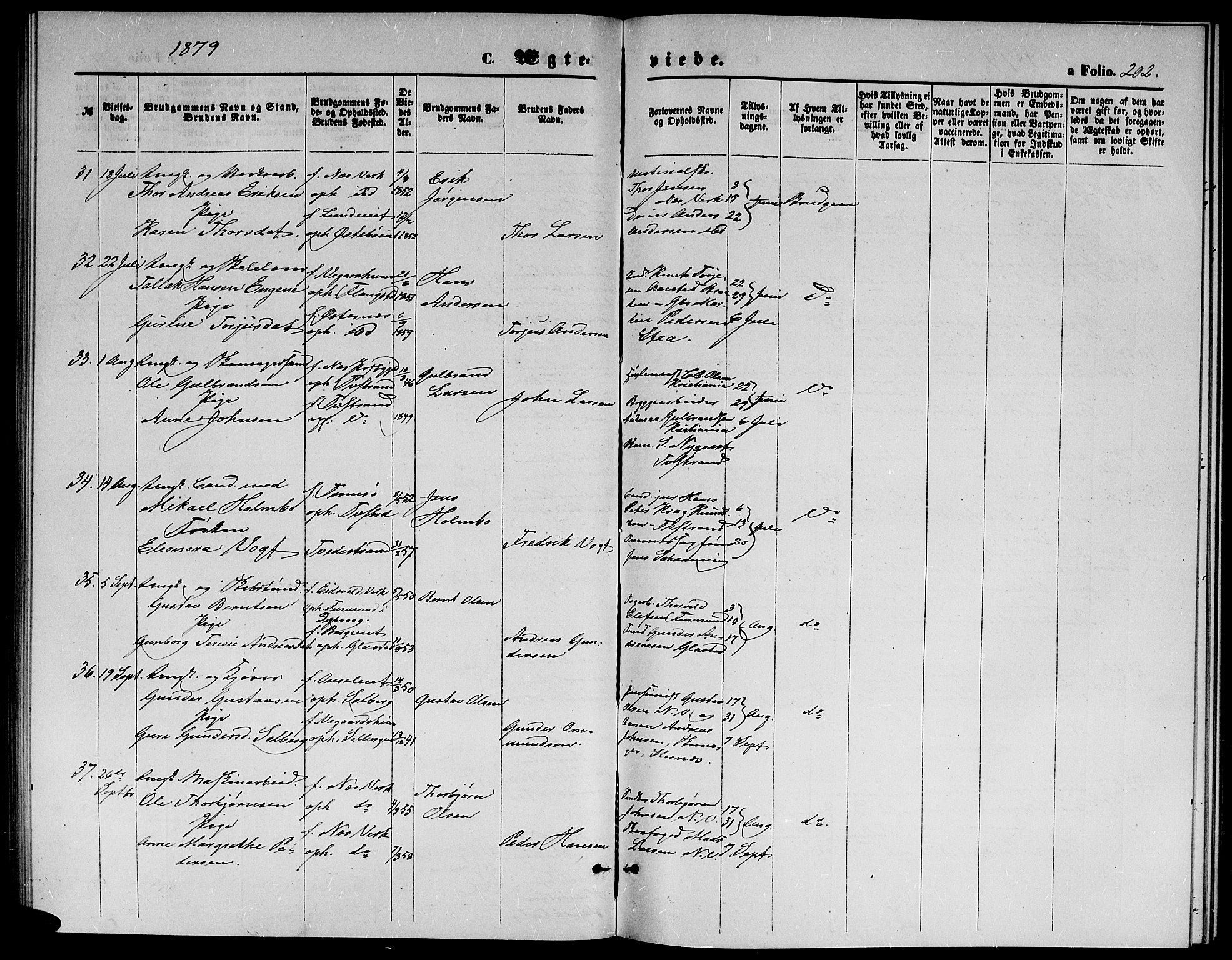 Holt sokneprestkontor, SAK/1111-0021/F/Fb/L0009: Klokkerbok nr. B 9, 1871-1883, s. 202