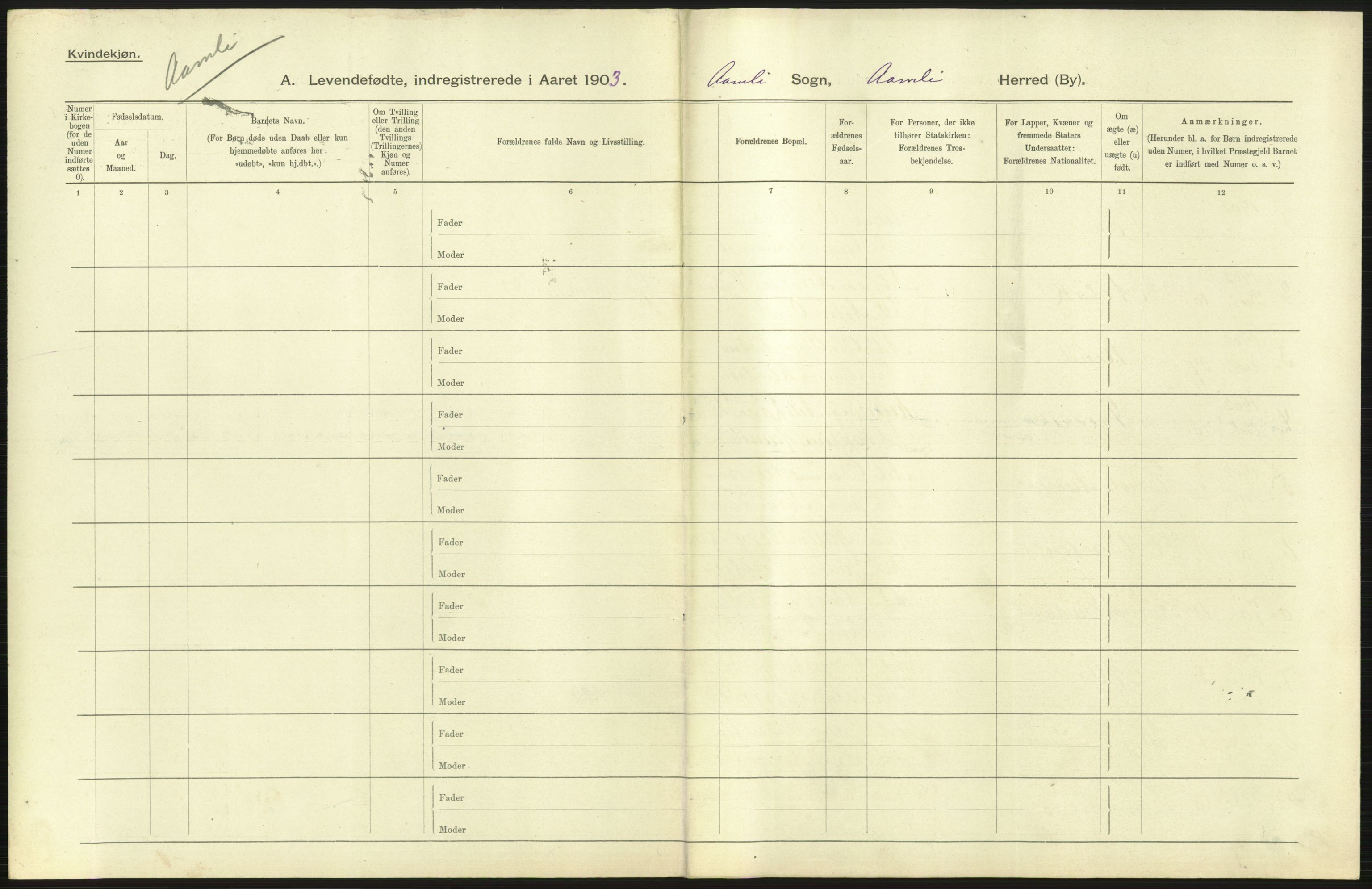 Statistisk sentralbyrå, Sosiodemografiske emner, Befolkning, AV/RA-S-2228/D/Df/Dfa/Dfaa/L0010: Nedenes amt: Fødte, gifte, døde, 1903, s. 49