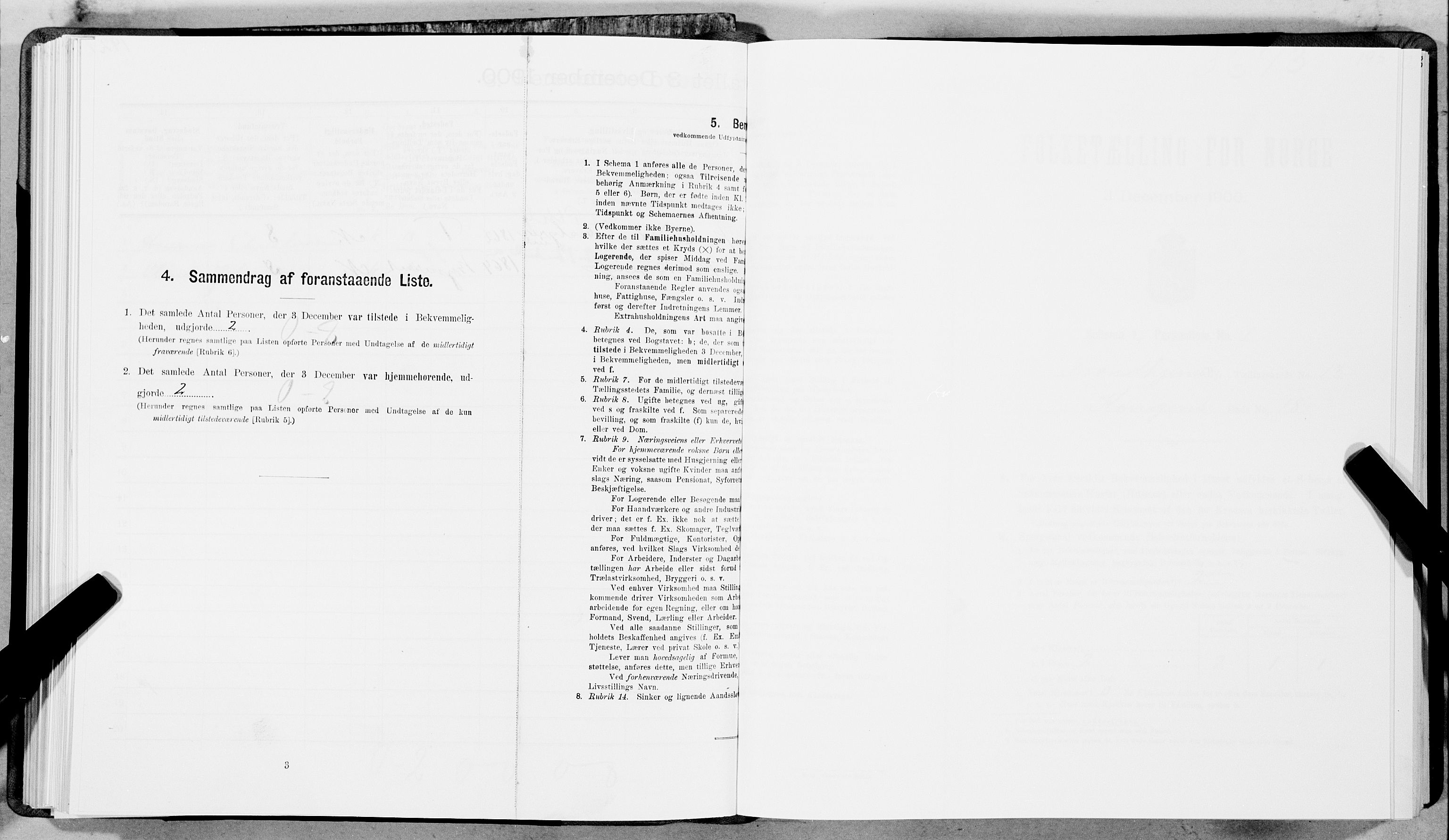 SAT, Folketelling 1900 for 1601 Trondheim kjøpstad, 1900, s. 2233
