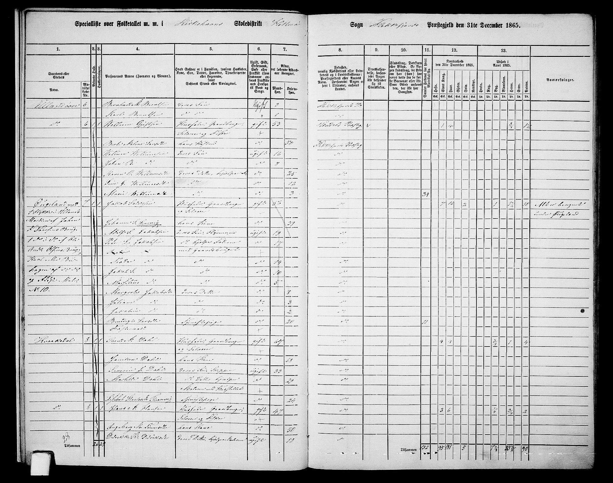 RA, Folketelling 1865 for 1042L Flekkefjord prestegjeld, Nes sokn og Hidra sokn, 1865, s. 14