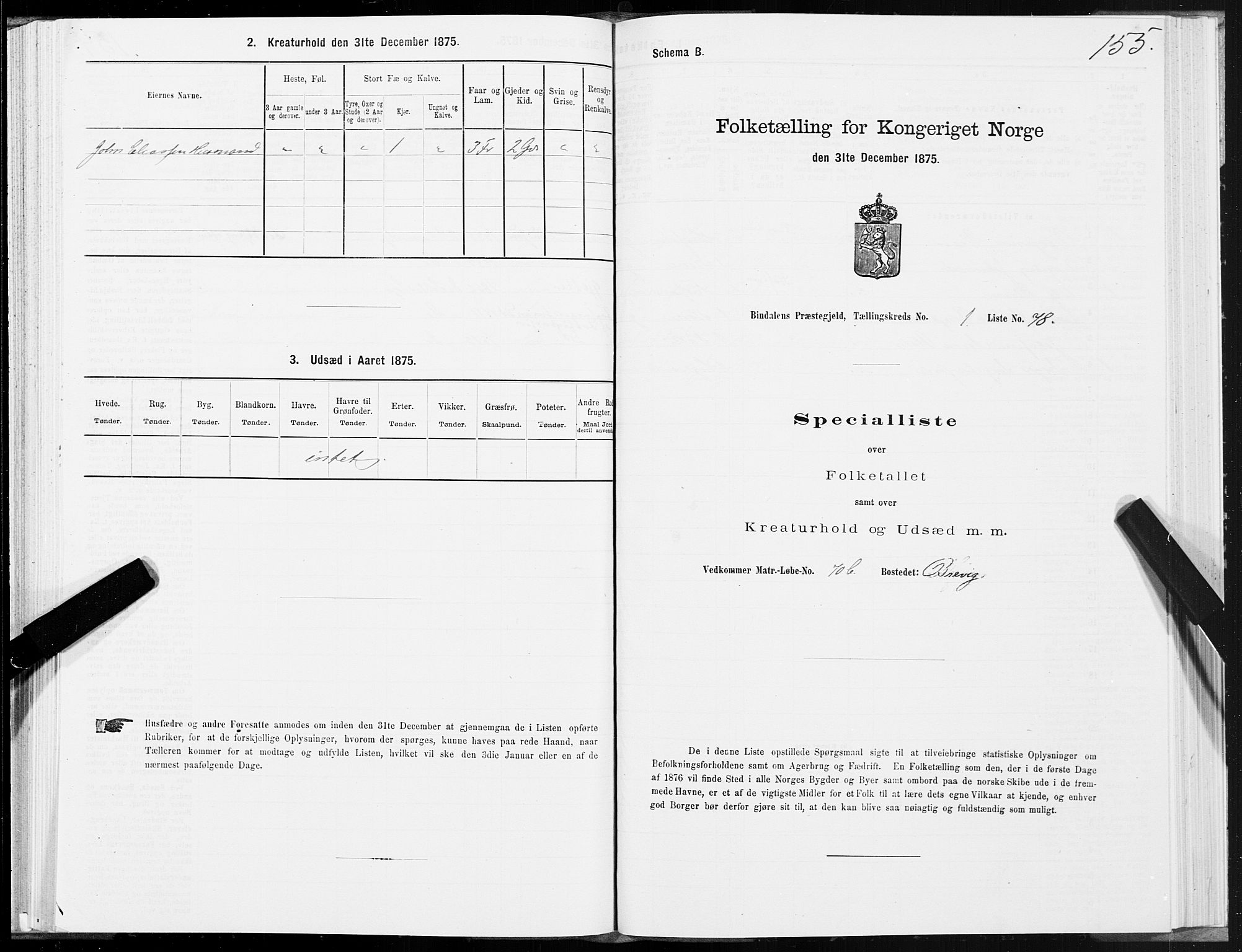 SAT, Folketelling 1875 for 1811P Bindal prestegjeld, 1875, s. 1155