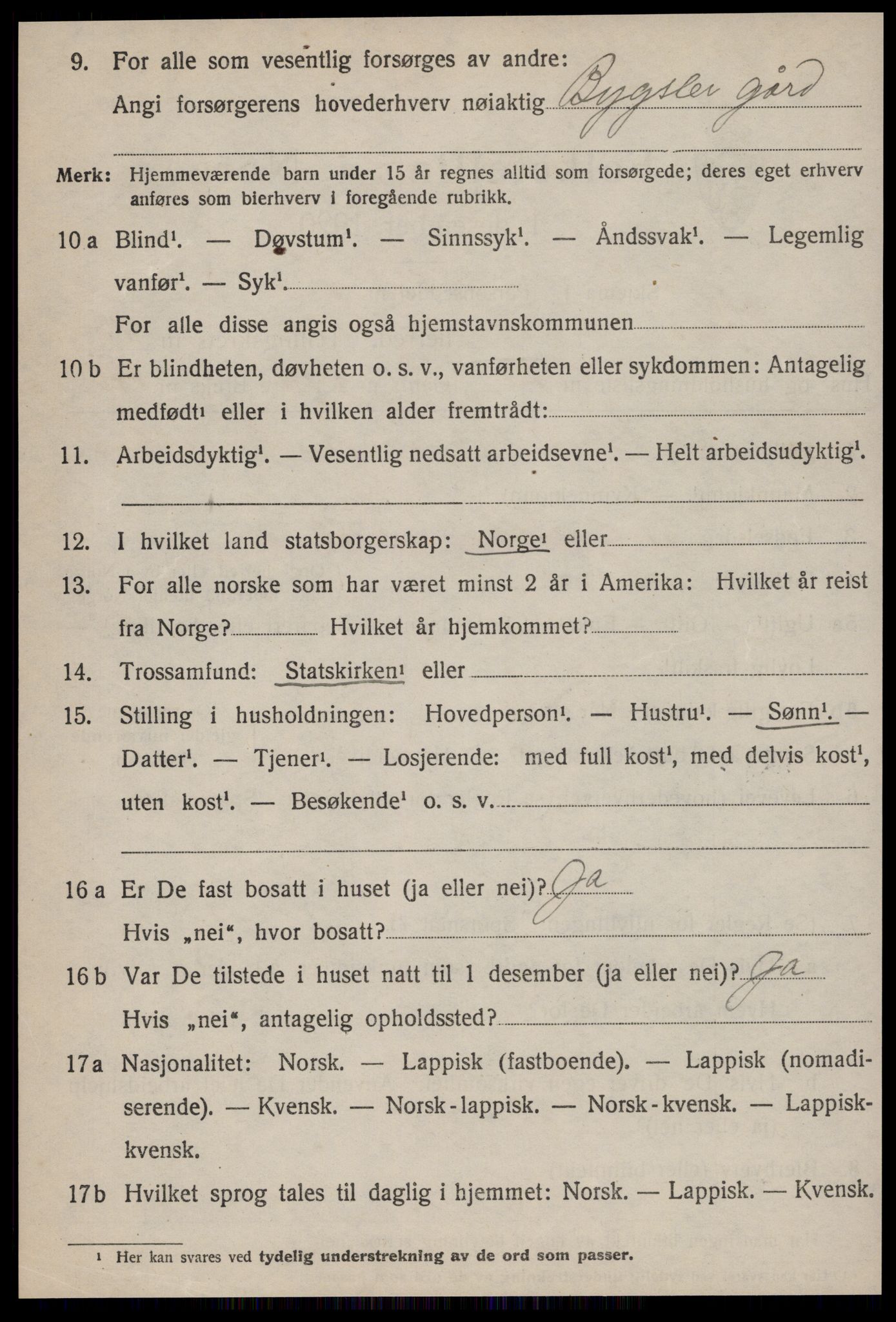 SAT, Folketelling 1920 for 1640 Røros herred, 1920, s. 9563