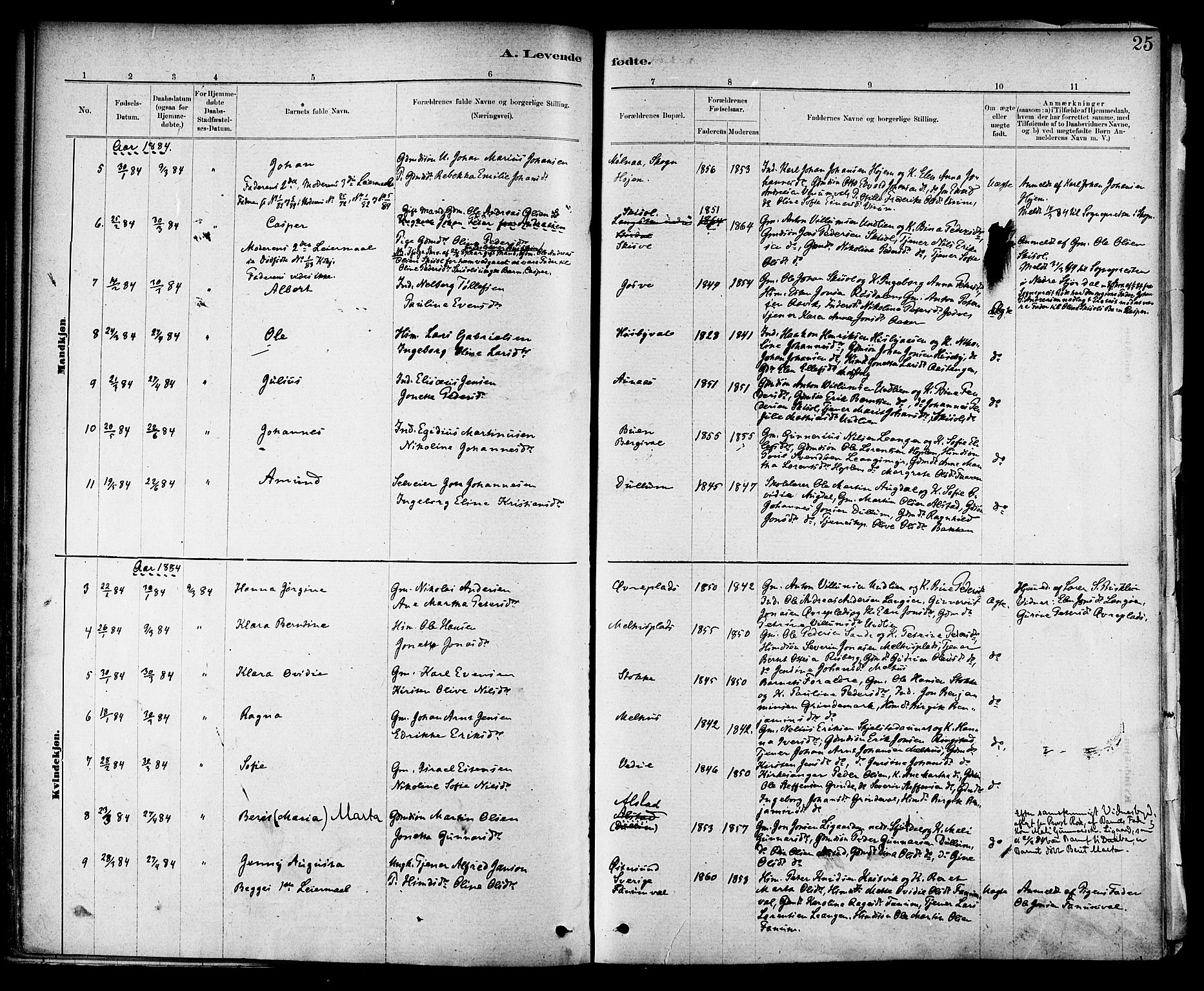 Ministerialprotokoller, klokkerbøker og fødselsregistre - Nord-Trøndelag, SAT/A-1458/714/L0130: Ministerialbok nr. 714A01, 1878-1895, s. 25