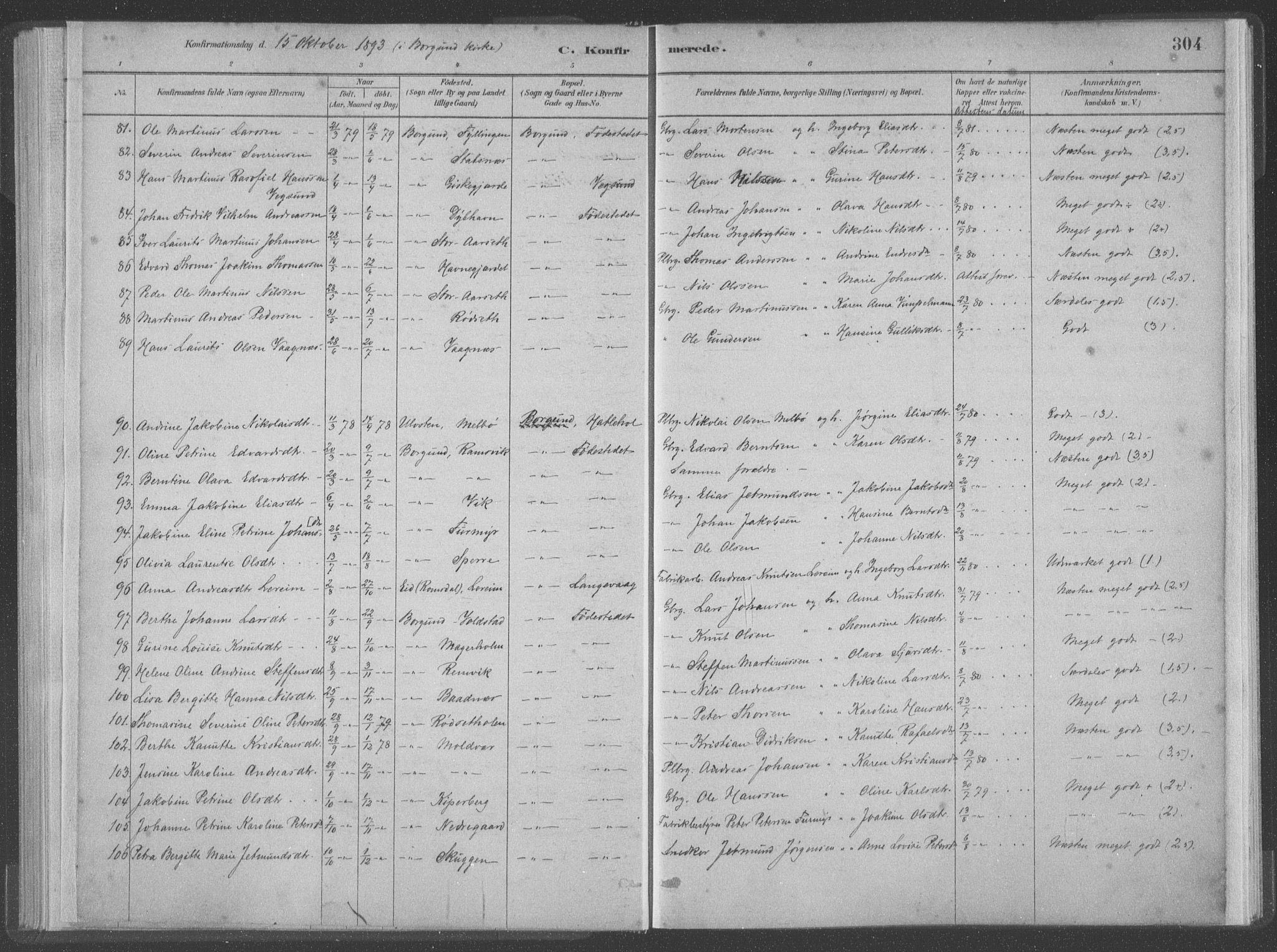 Ministerialprotokoller, klokkerbøker og fødselsregistre - Møre og Romsdal, AV/SAT-A-1454/528/L0402: Ministerialbok nr. 528A12II, 1880-1903, s. 304