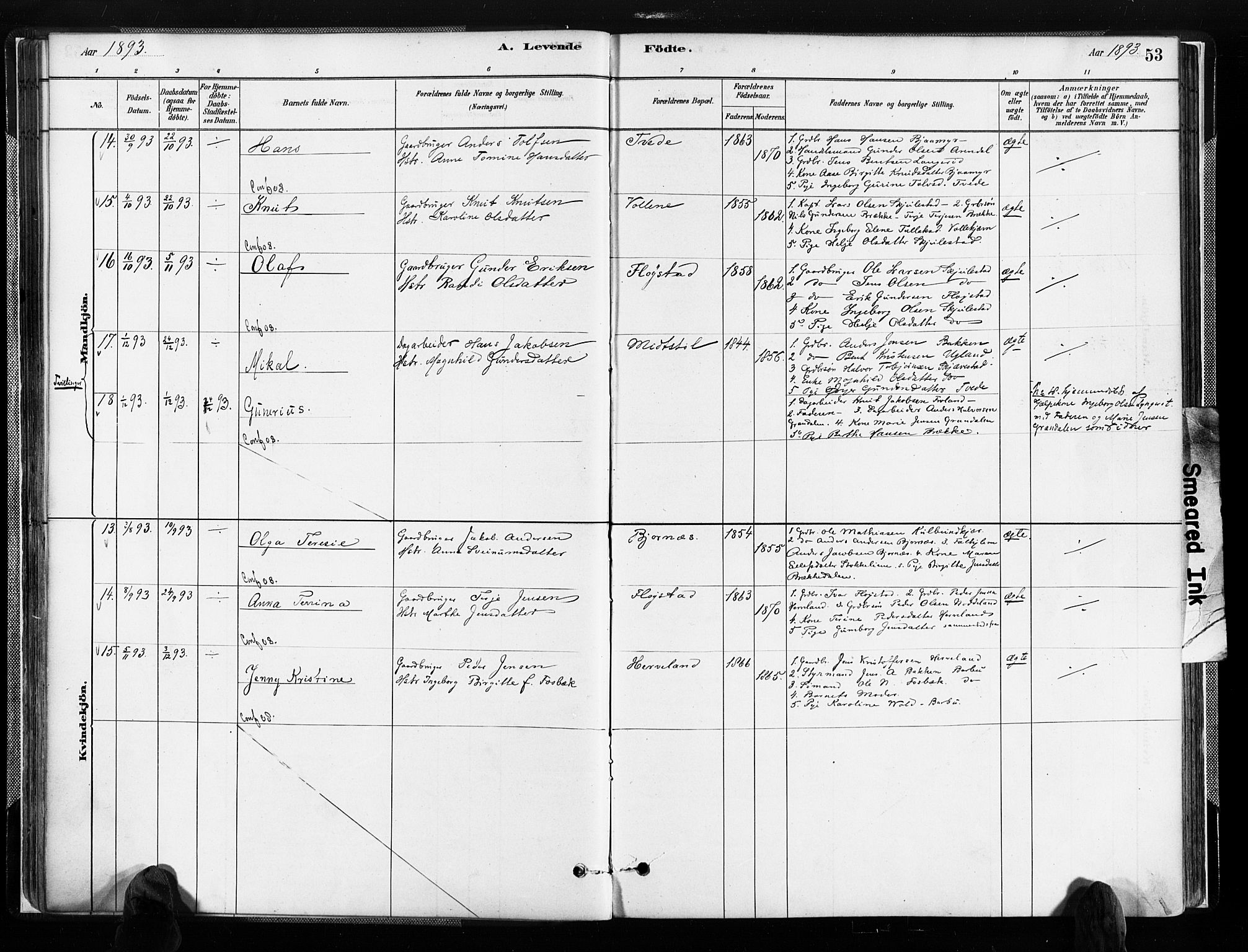 Austre Moland sokneprestkontor, AV/SAK-1111-0001/F/Fa/Faa/L0010: Ministerialbok nr. A 10, 1880-1904, s. 53