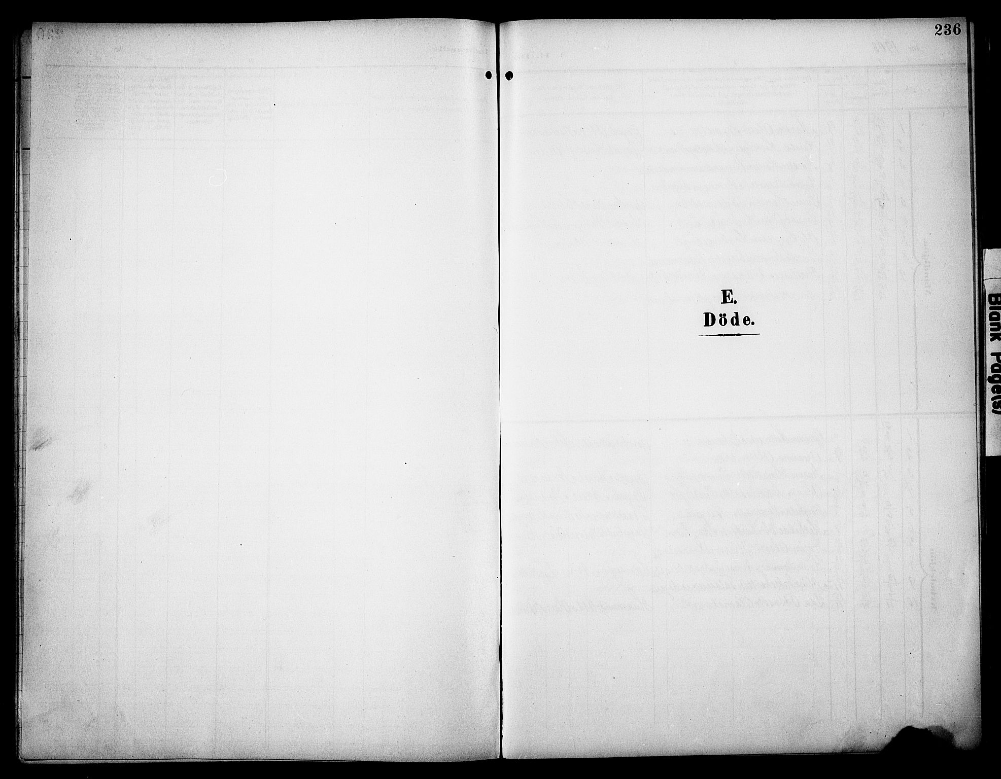 Åsnes prestekontor, SAH/PREST-042/H/Ha/Hab/L0006: Klokkerbok nr. 6, 1903-1929, s. 236