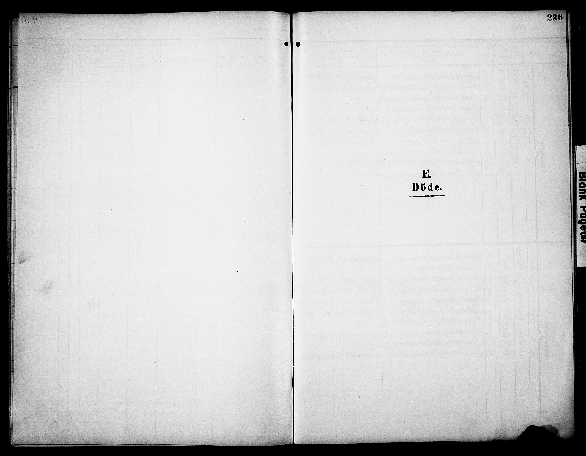 Åsnes prestekontor, AV/SAH-PREST-042/H/Ha/Hab/L0006: Klokkerbok nr. 6, 1903-1929, s. 236