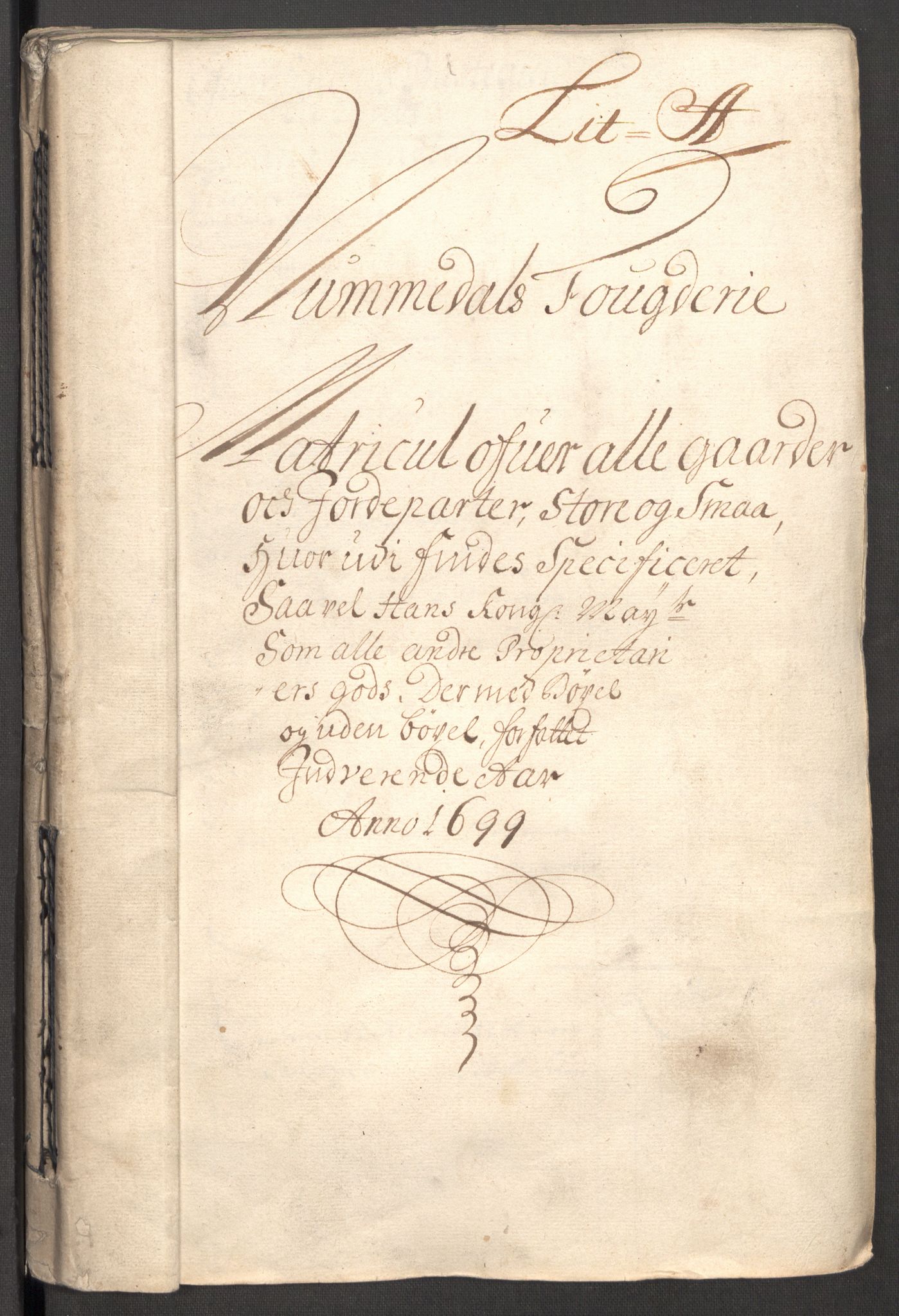 Rentekammeret inntil 1814, Reviderte regnskaper, Fogderegnskap, RA/EA-4092/R64/L4426: Fogderegnskap Namdal, 1699-1700, s. 25