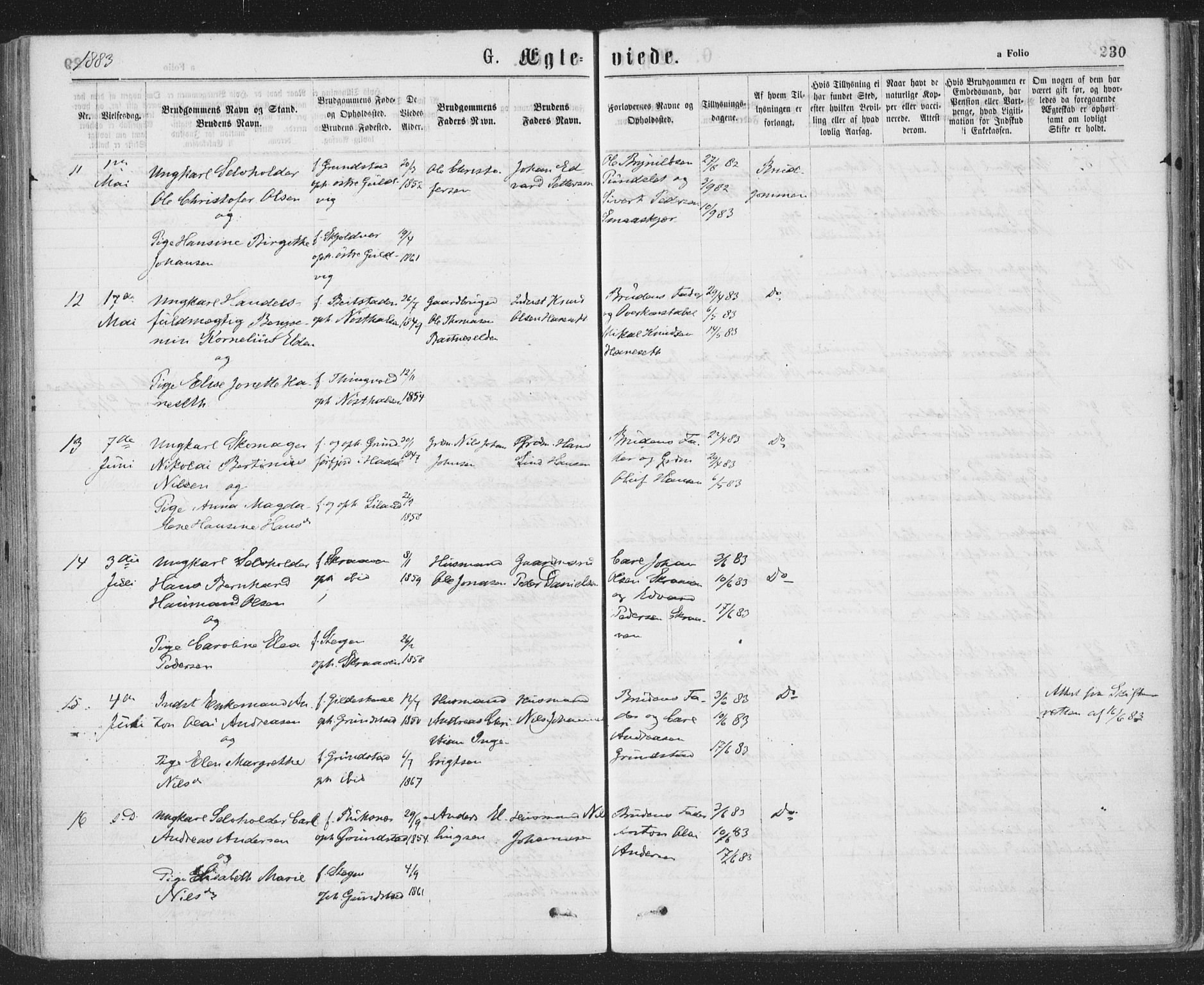 Ministerialprotokoller, klokkerbøker og fødselsregistre - Nordland, SAT/A-1459/874/L1058: Ministerialbok nr. 874A02, 1878-1883, s. 230