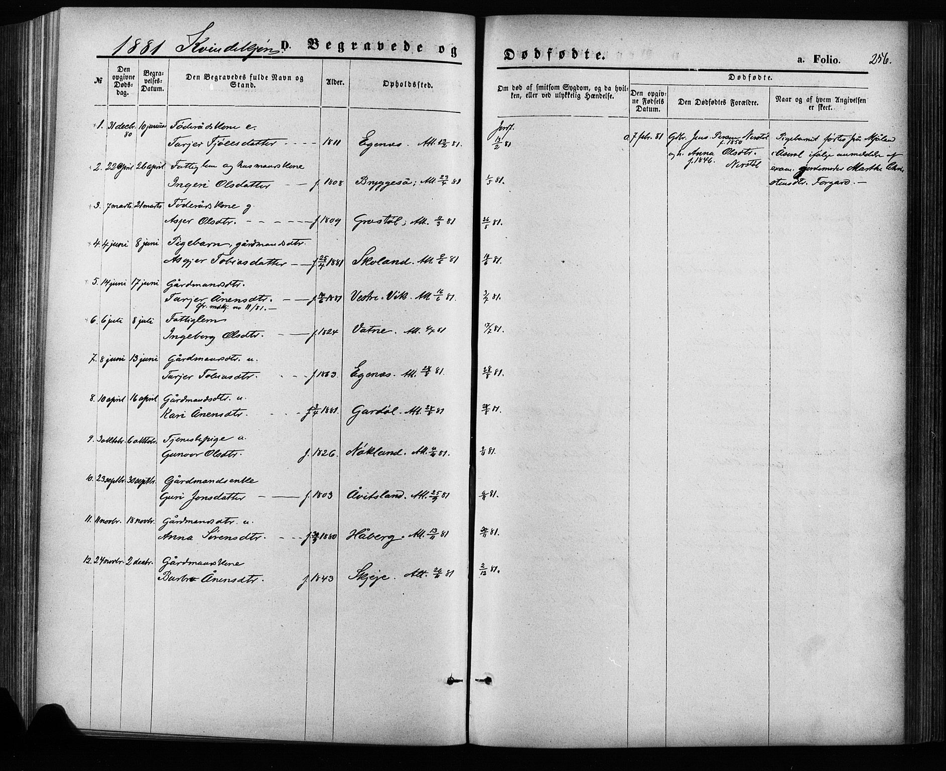 Hægebostad sokneprestkontor, SAK/1111-0024/F/Fa/Fab/L0003: Ministerialbok nr. A 3, 1872-1886, s. 256