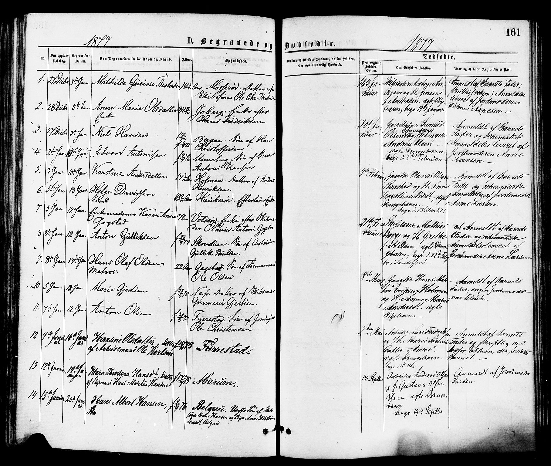 Sandar kirkebøker, AV/SAKO-A-243/F/Fa/L0011: Ministerialbok nr. 11, 1872-1882, s. 161
