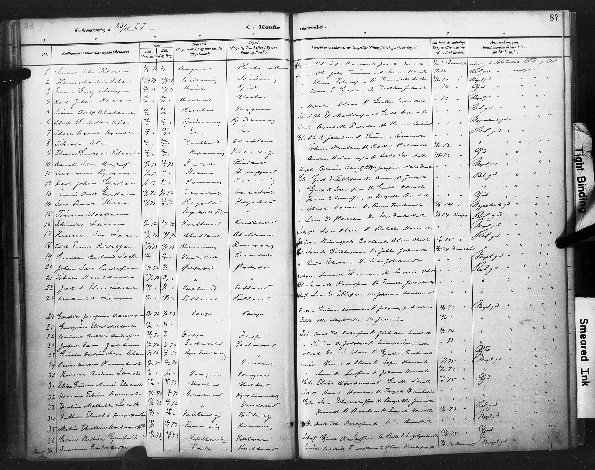 Flekkefjord sokneprestkontor, AV/SAK-1111-0012/F/Fa/Fab/L0006: Ministerialbok nr. A 6, 1886-1901, s. 87