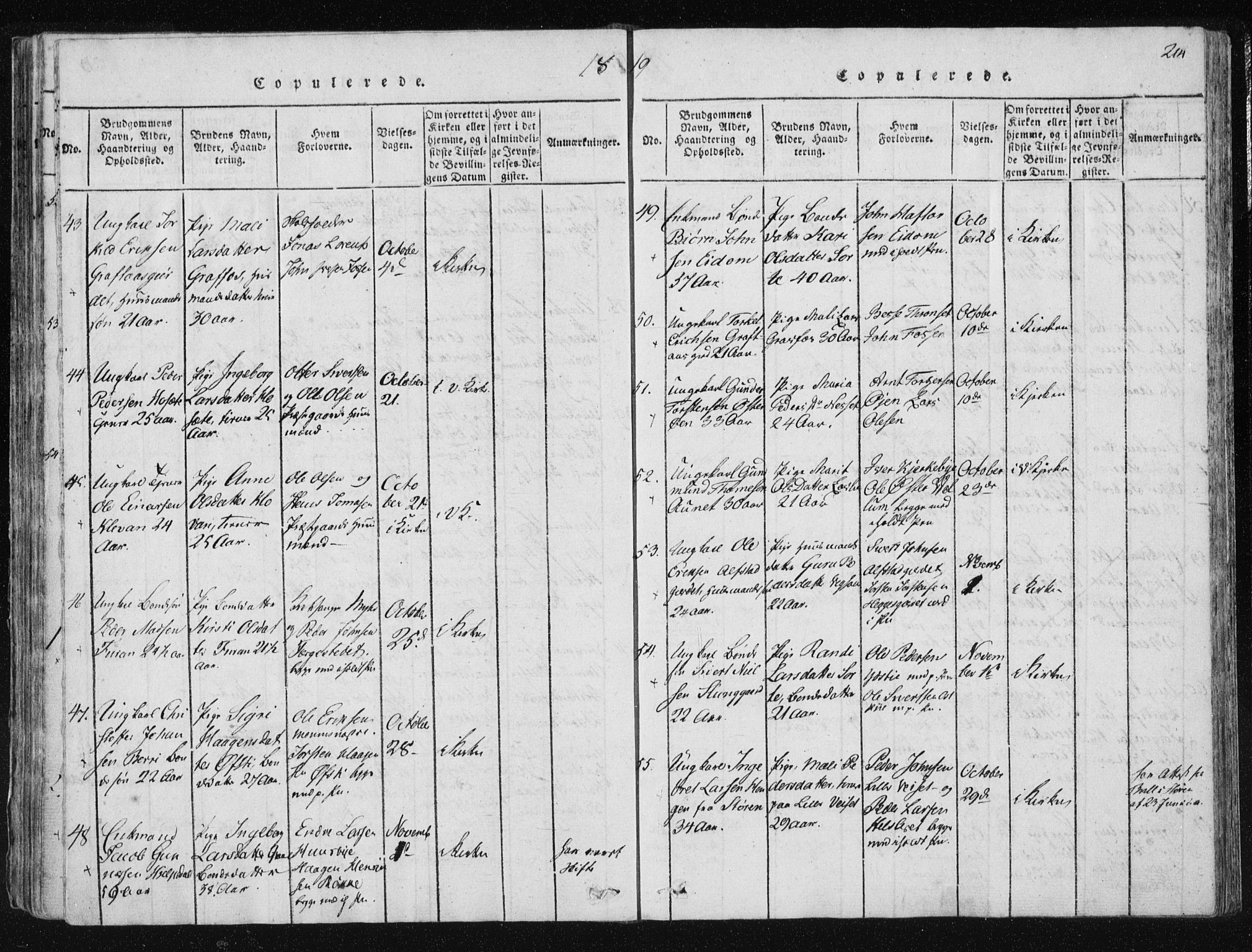 Ministerialprotokoller, klokkerbøker og fødselsregistre - Nord-Trøndelag, AV/SAT-A-1458/709/L0061: Ministerialbok nr. 709A08 /1, 1815-1819, s. 214