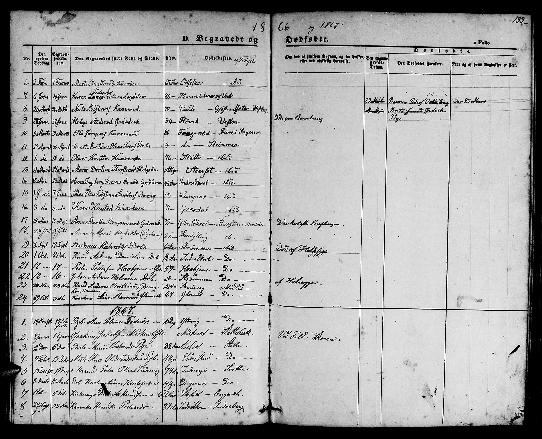 Ministerialprotokoller, klokkerbøker og fødselsregistre - Møre og Romsdal, SAT/A-1454/524/L0364: Klokkerbok nr. 524C05, 1865-1879, s. 133