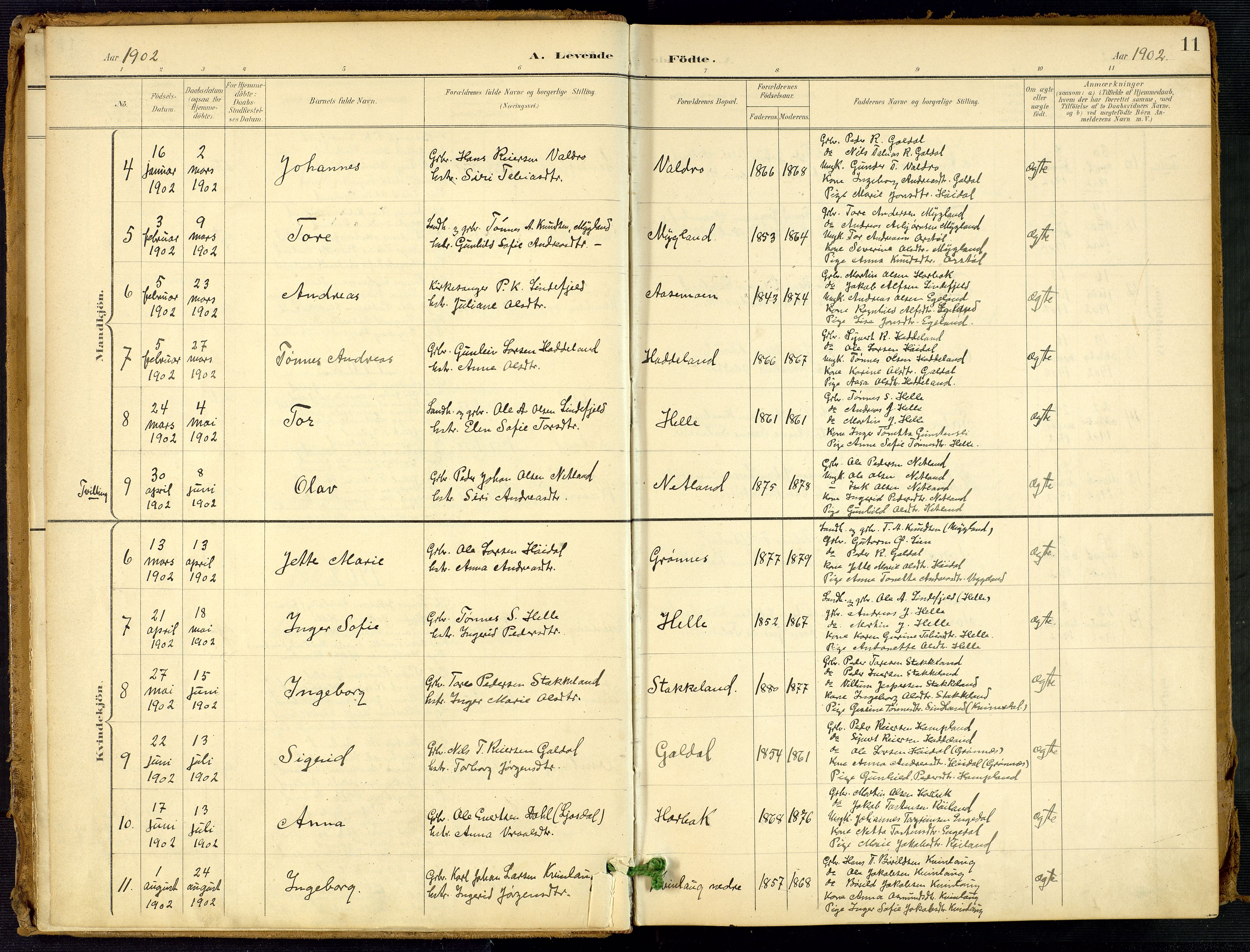 Fjotland sokneprestkontor, AV/SAK-1111-0010/F/Fa/L0003: Ministerialbok nr. A 3, 1899-1917, s. 11