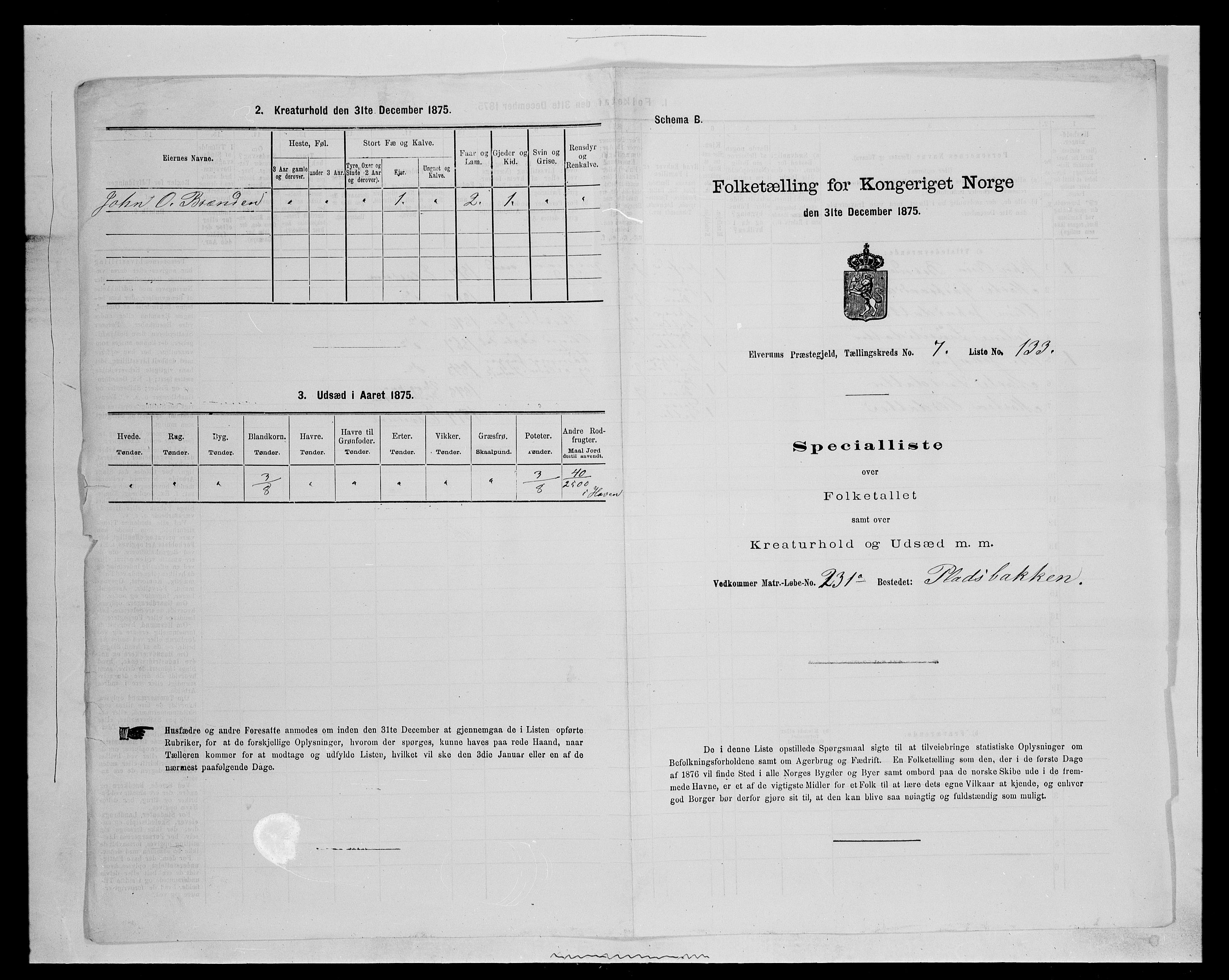 SAH, Folketelling 1875 for 0427P Elverum prestegjeld, 1875, s. 1753